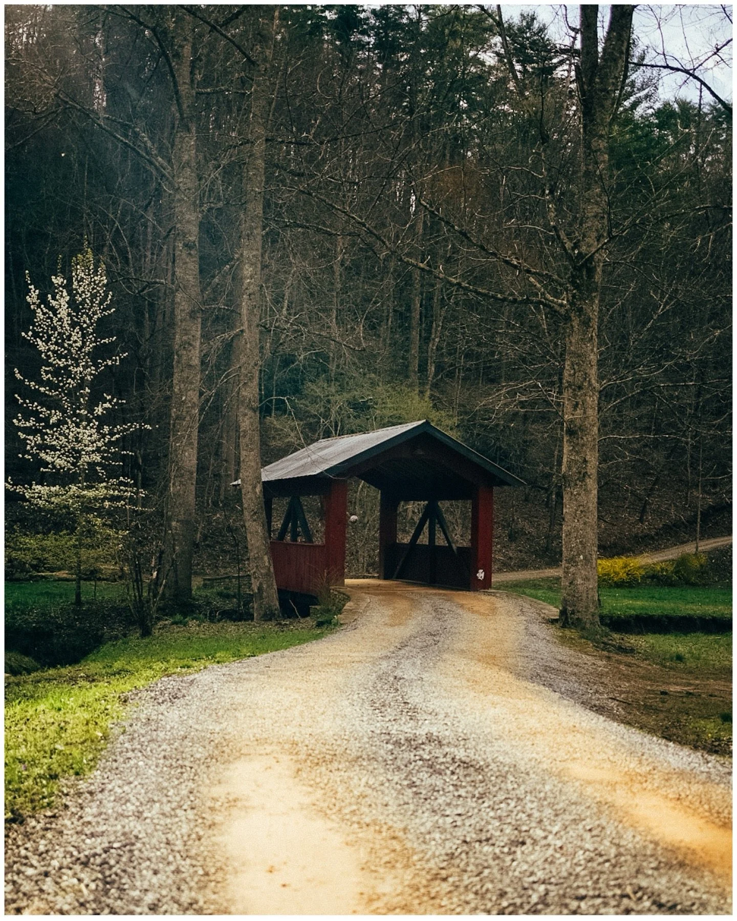 Blue Ridge, Georgia day 1!!! 

gorgeous greens as per usual 

#greenphotography #blueridgemoments #blueridgephotography #greenphoto #naturephotographers