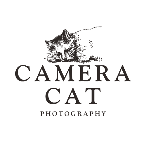 Camera Cat
