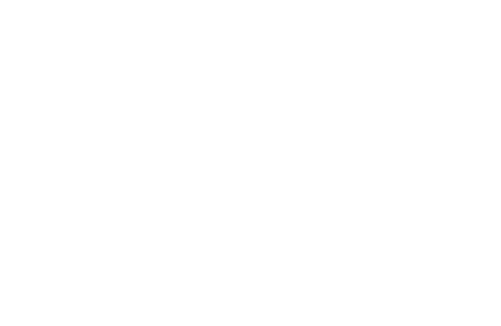 Erica&#39;s Homemade Salsa