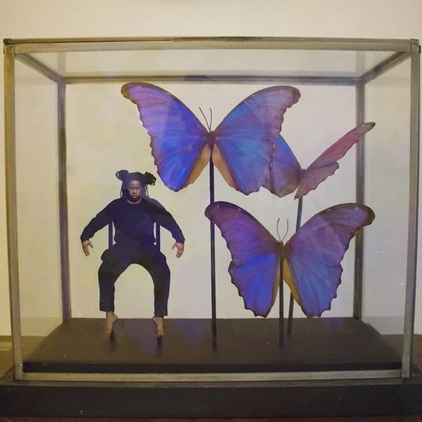 Engineer/ Mixer / Producer/ Mastering