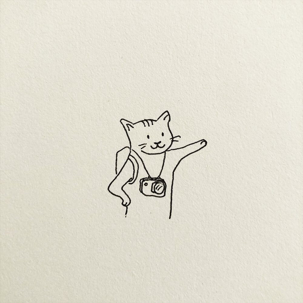 #inkandpen #catoons #cartoons #comicart #catart #drawingsketch #catsagram #illustrationartists #sketchbook #catsofinstagram #comicstrip #inking #inkart #pencildraw #drawingcats #ネコ #katzen #gato