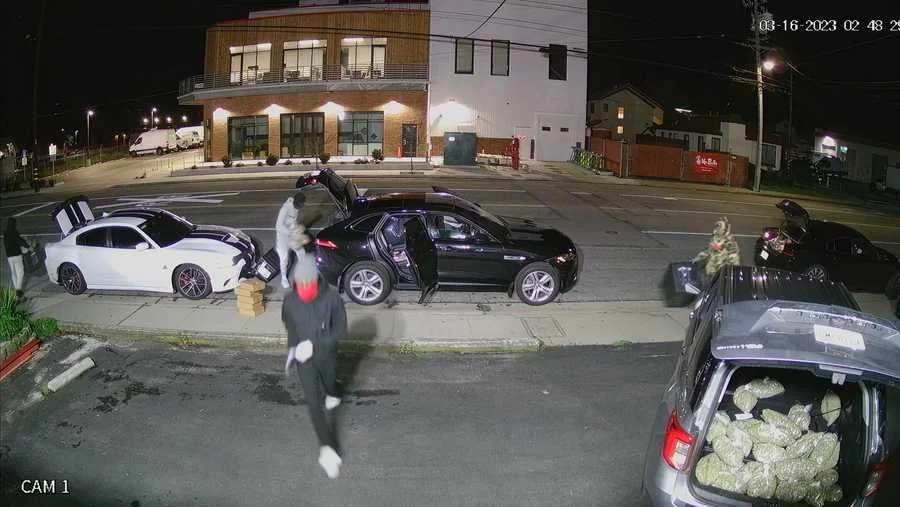 Santa Cruz cannabis warehouse robbed of half a million dollars worth of marijuana