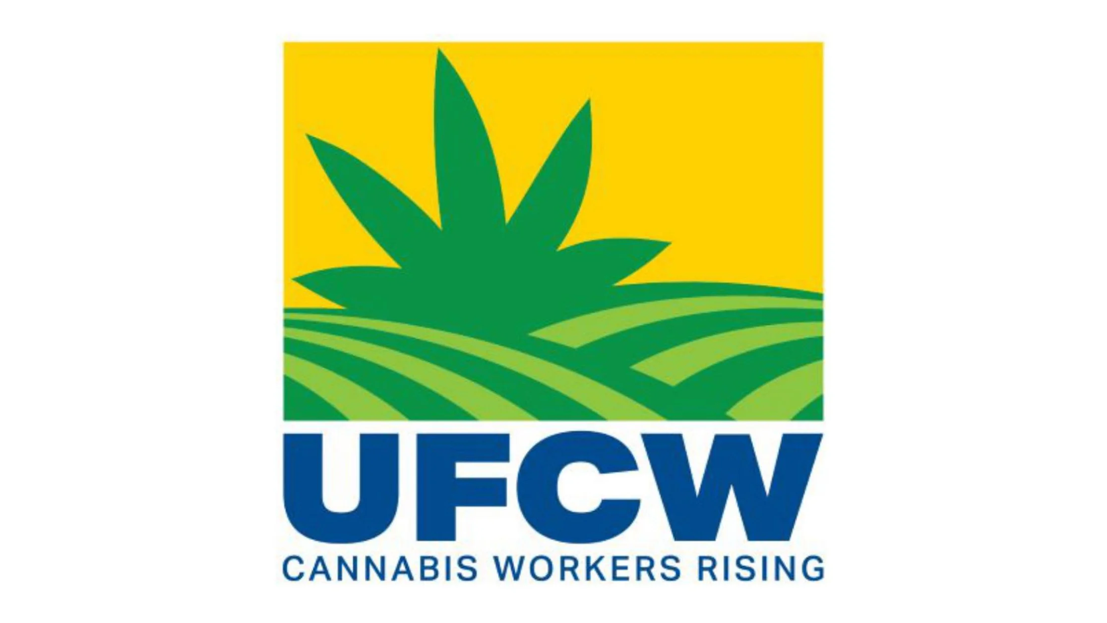 180-plus marijuana workers unionize in Illinois and California 