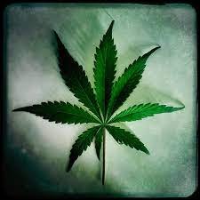 Federal Cannabis Rescheduling Documents Released