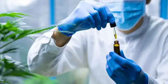 Federal Health Agency Moves To Allow CBD Coverage Under Medicare, As Promoted In Video Trump Posted