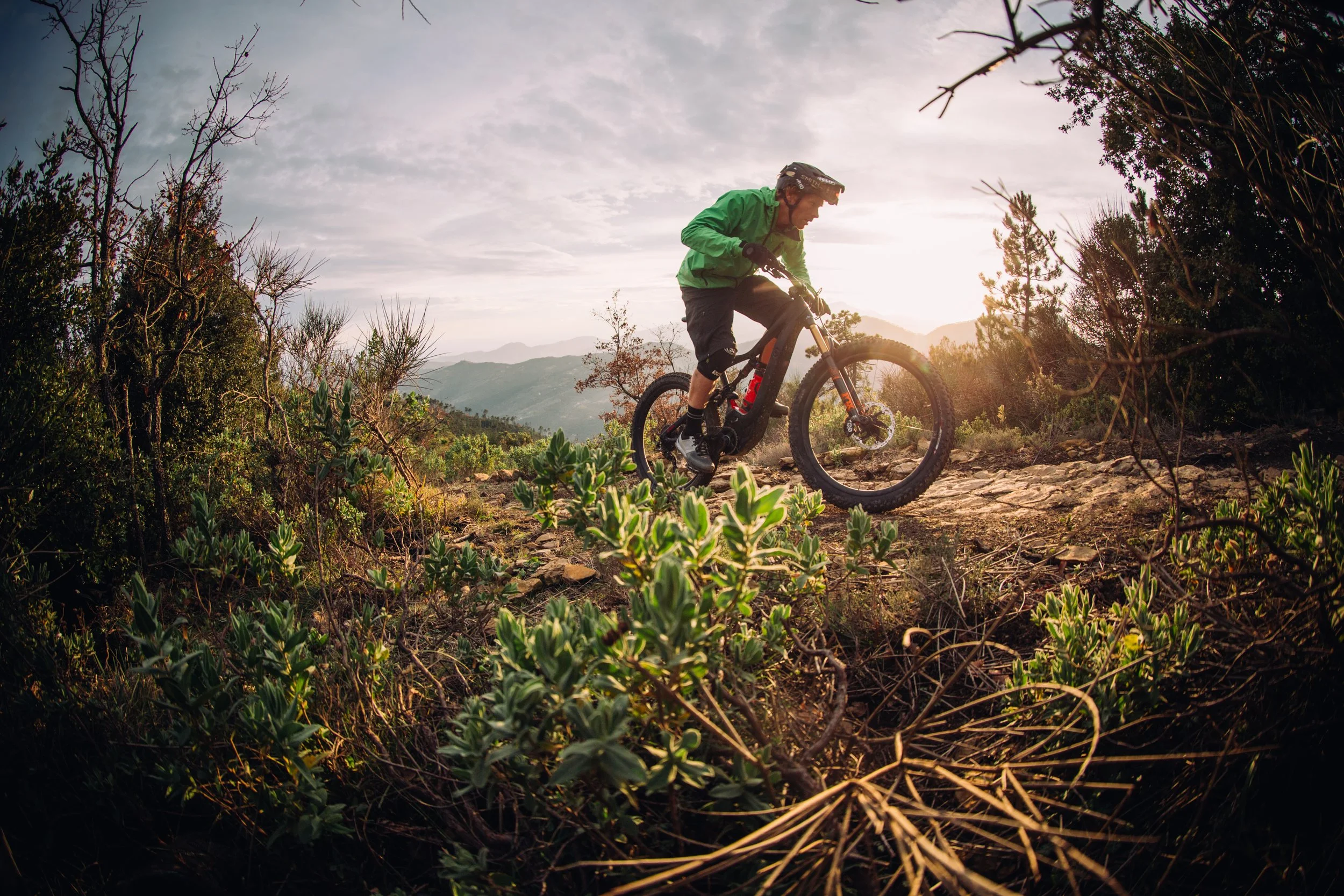 Specialized