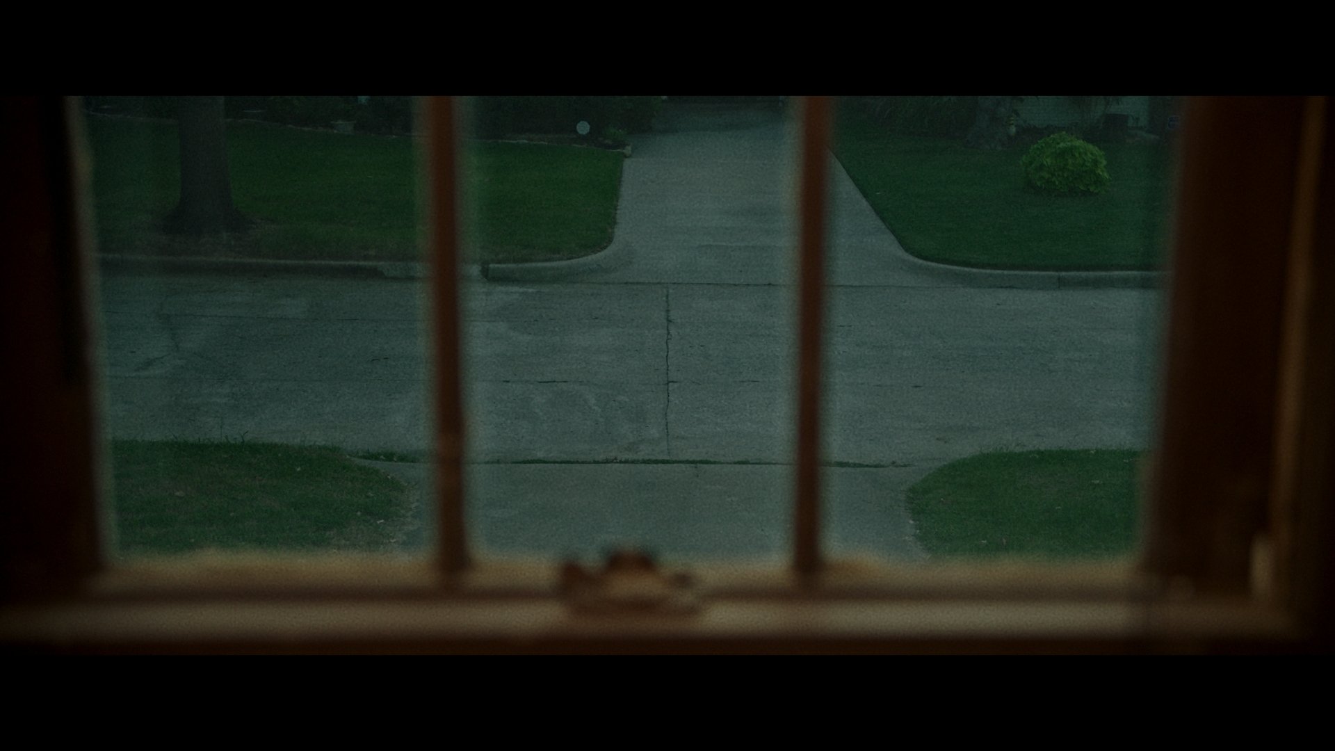 DogsDieFramesFinal_1.14.1.jpg