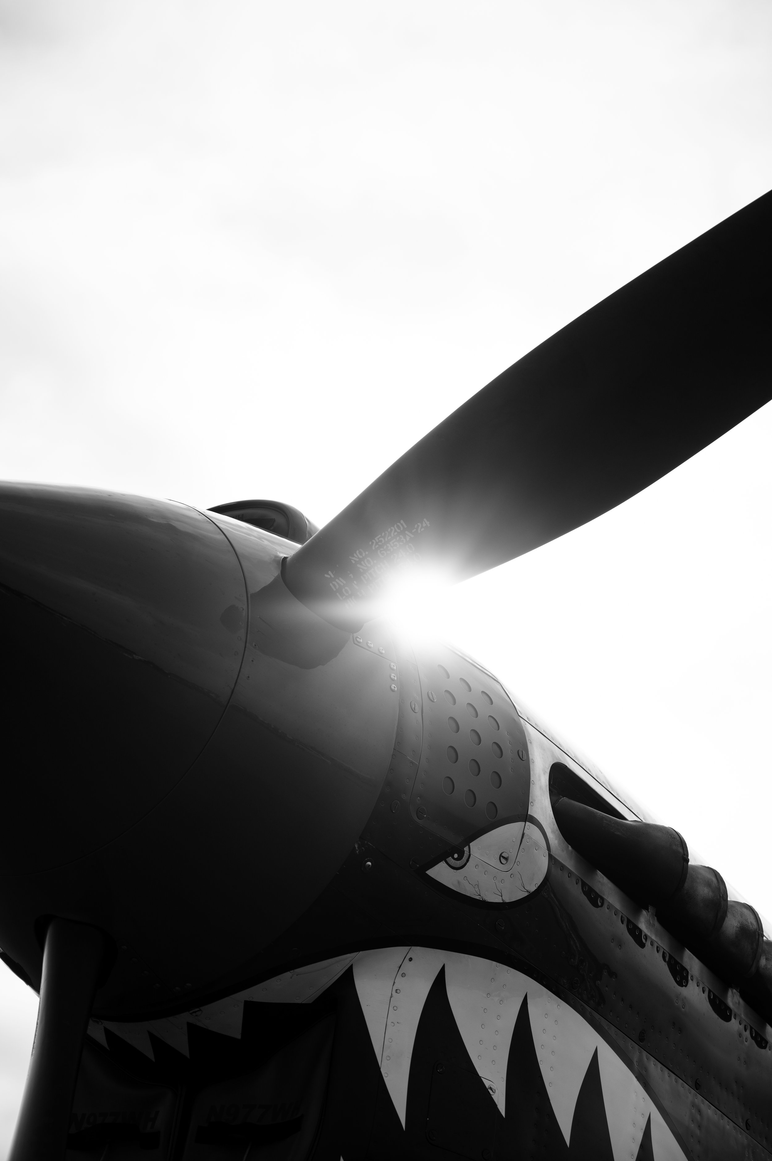 CLH_4816-1.jpg