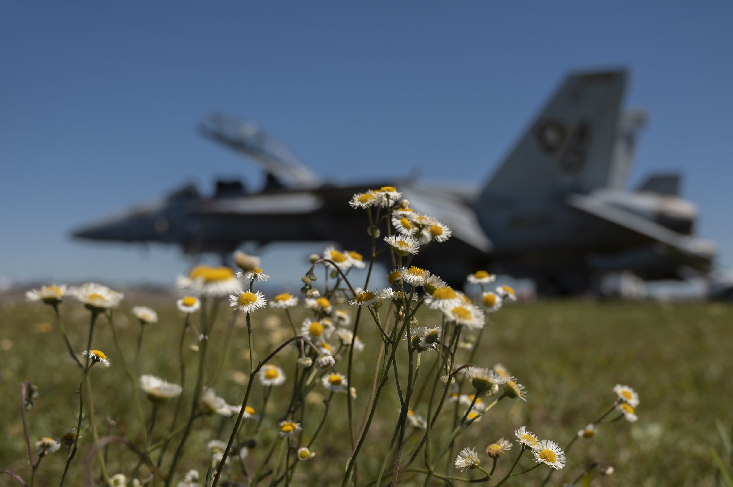 CLH_7902-1.jpg