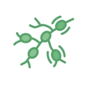 Screenshot 2025-06-10 at 6.19.58 PM.png