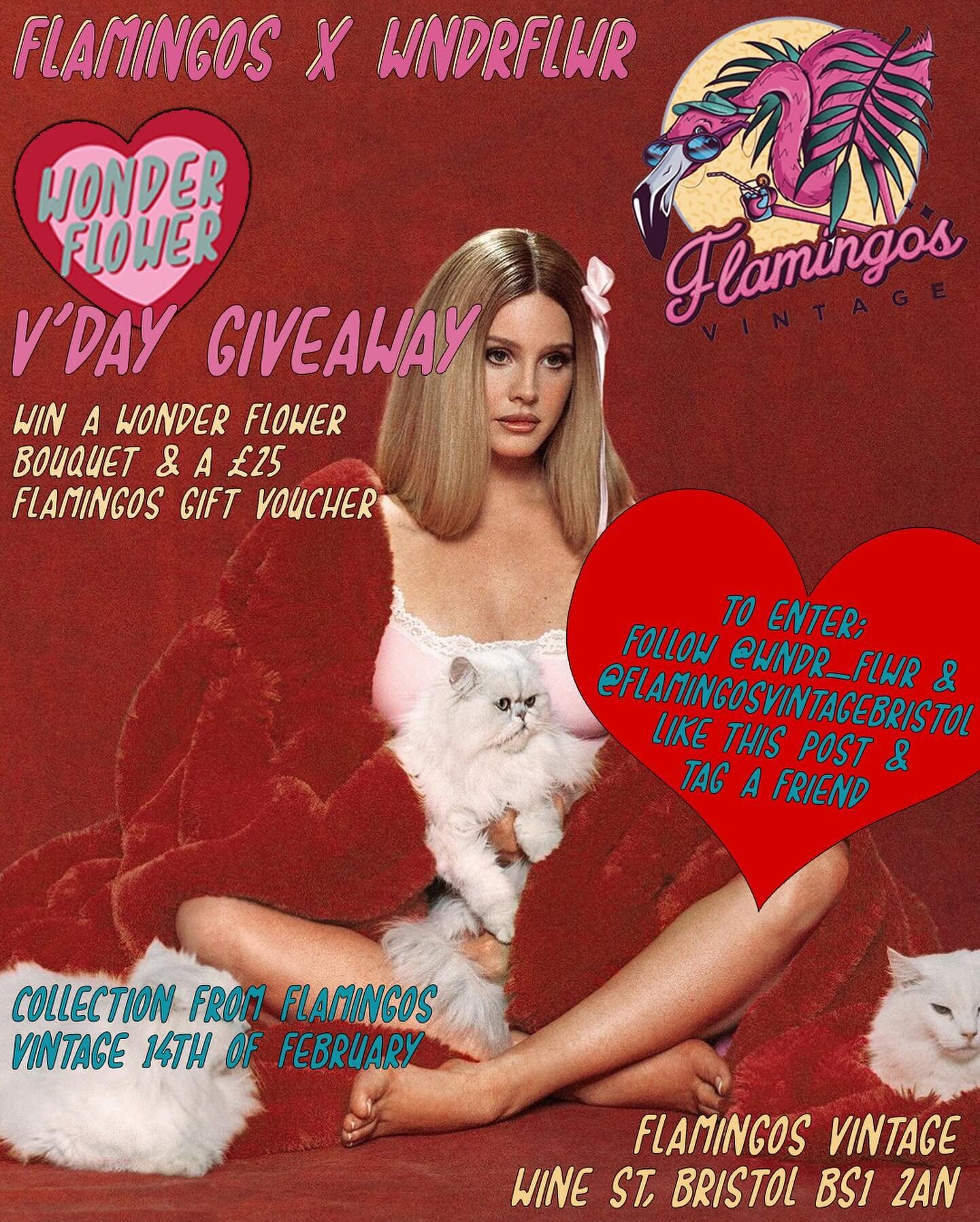 V&rsquo;DAY GIVEAWAY! 
To win a @wndr_flwr bouquet &amp; a &pound;25 @flamingosvintagebristol gift voucher just follow both accounts, like this post &amp; tag as many pals (in separate comments) as you&rsquo;d like! 
For an extra entry share this pos