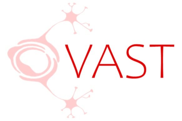 Vascular Training (VAST) Platform