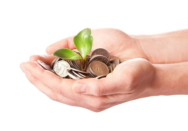 Save Your Money, Don't Spend It!