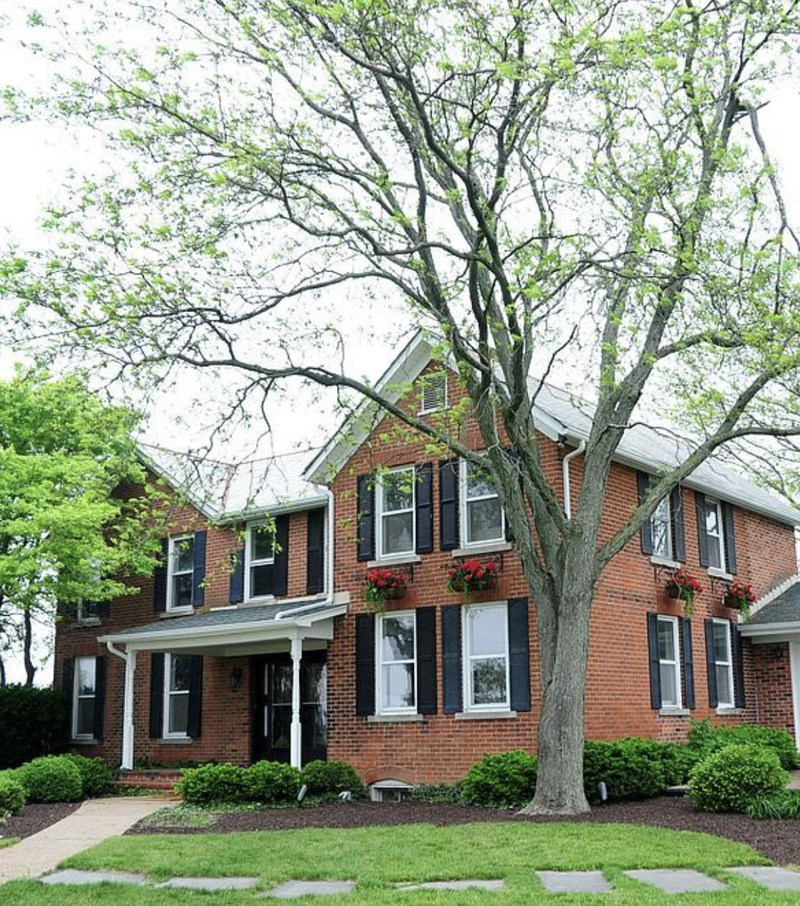 The Paddock Pricing — The Paddock