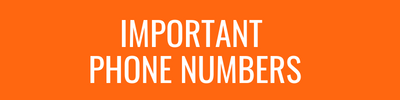 CATEGORIES+(800+×+100+px)+(400+×+100+px)+(5).png