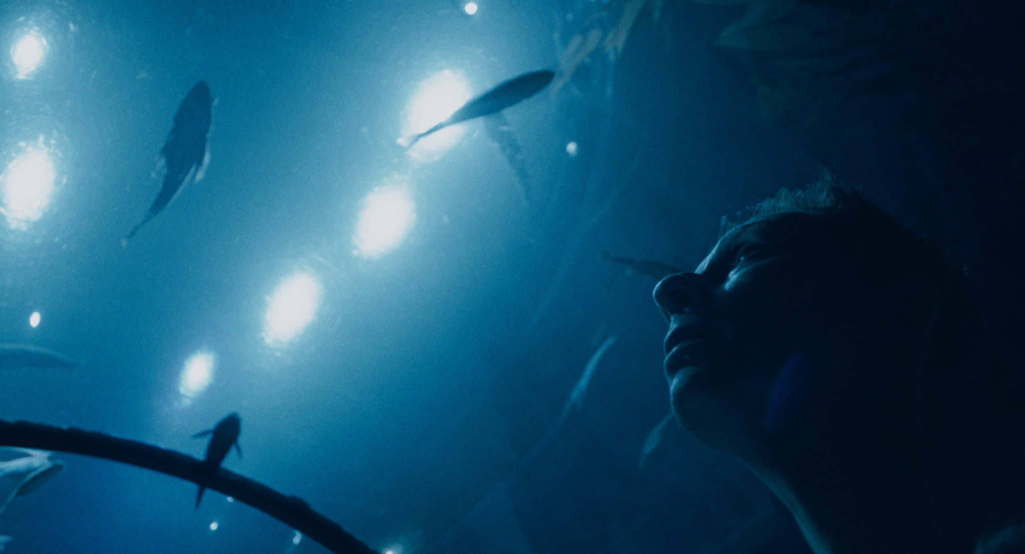 Axolotl_DivisionCouleur_Still_2022_1.1.29.jpeg