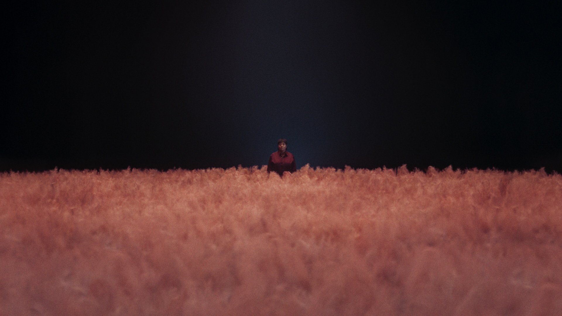 Incarnat_DivisionCouleur_Still_2021_1.3.5.jpeg