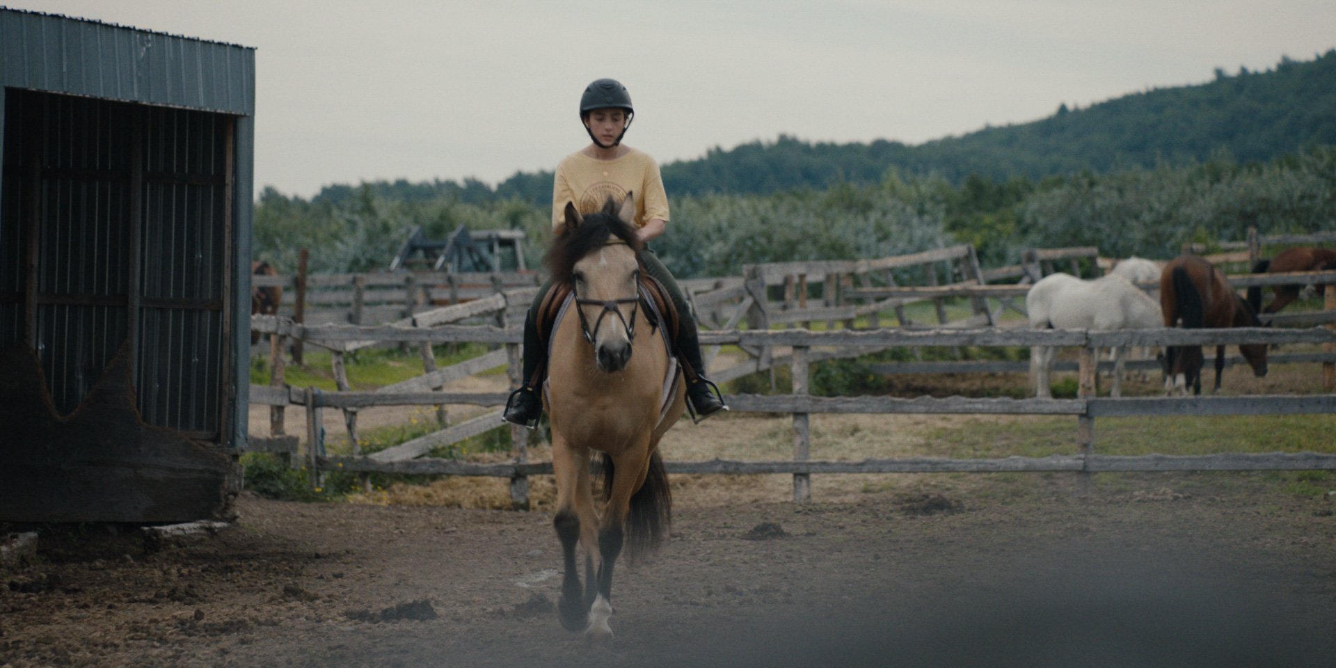 LesCavaliers_DivisionCouleur_Still_2021_EP10_1.24.1.jpeg
