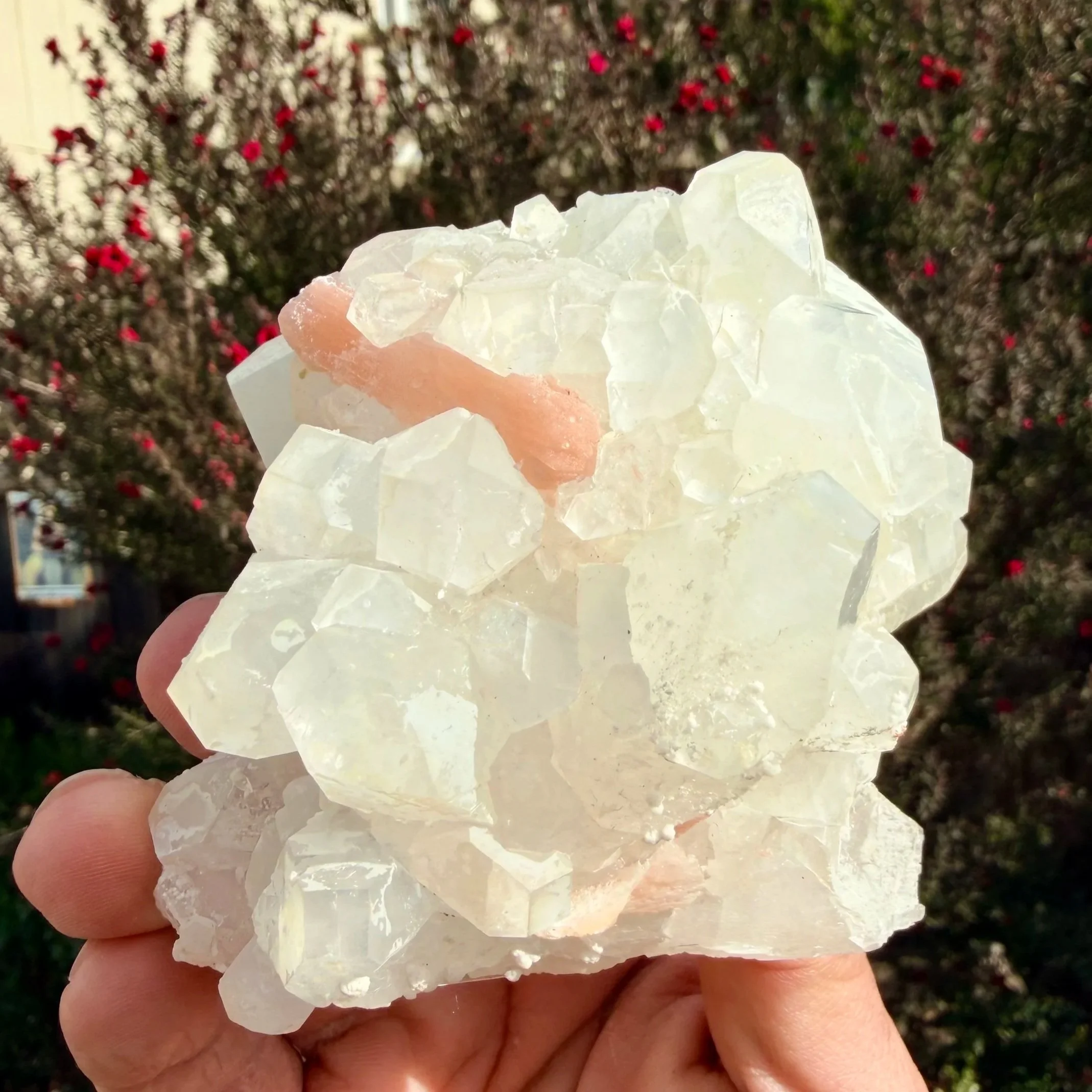 Apophyllite with Stillbite Specimen