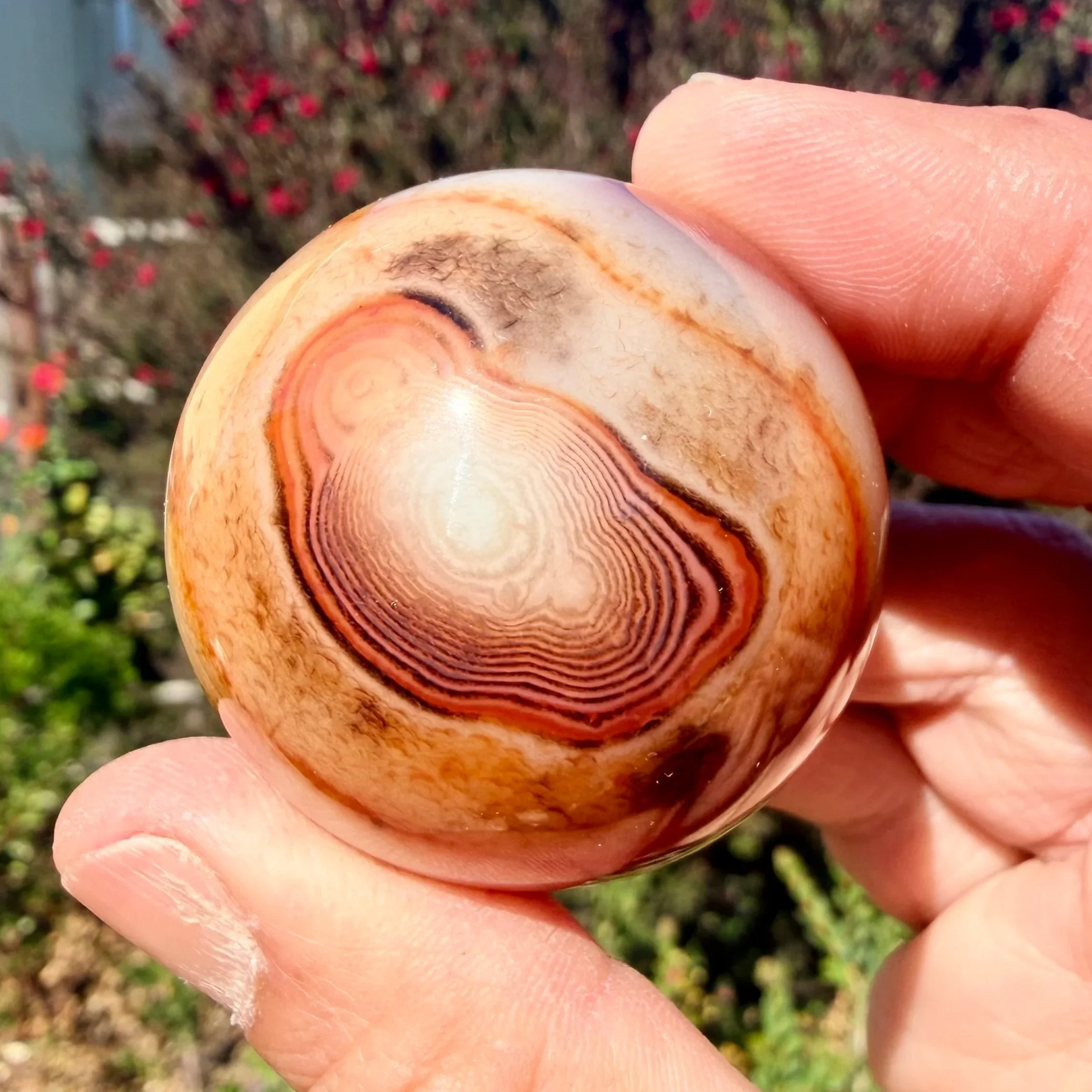 Sardonyx Sphere