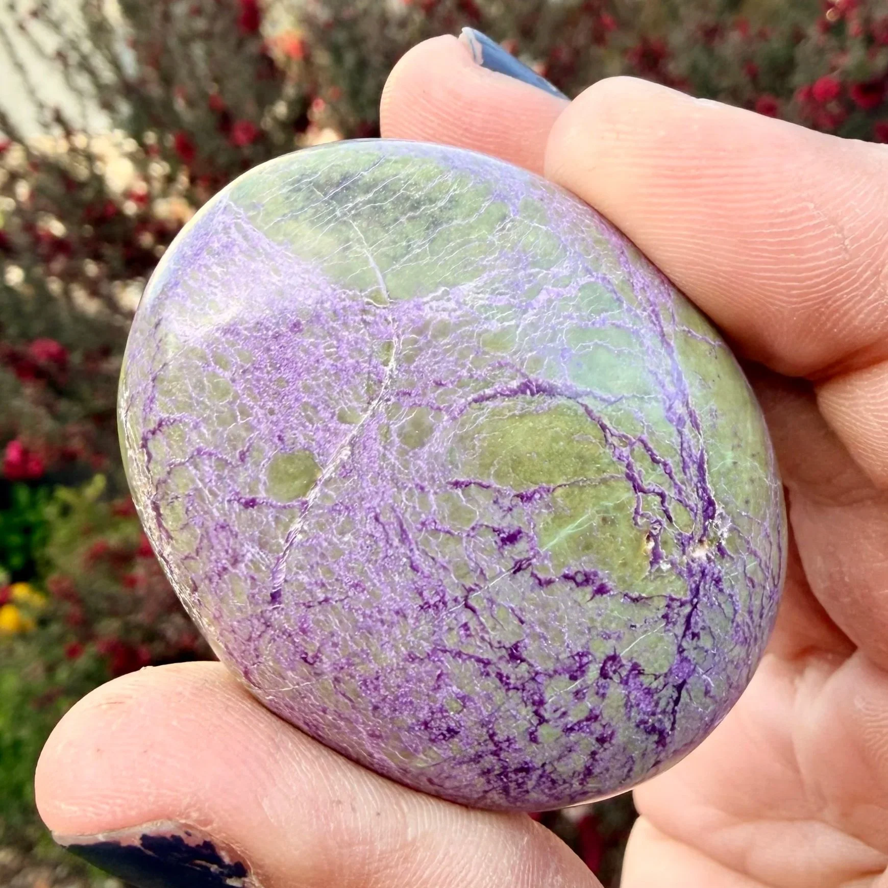 Stichtite and Serpentine (Atlantisite) Palm Stone