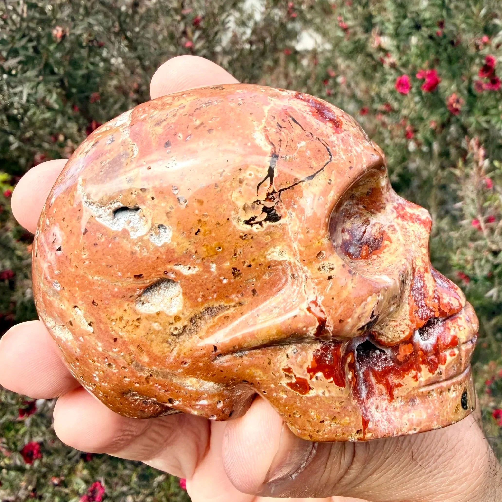 Red Fox Agate Skull