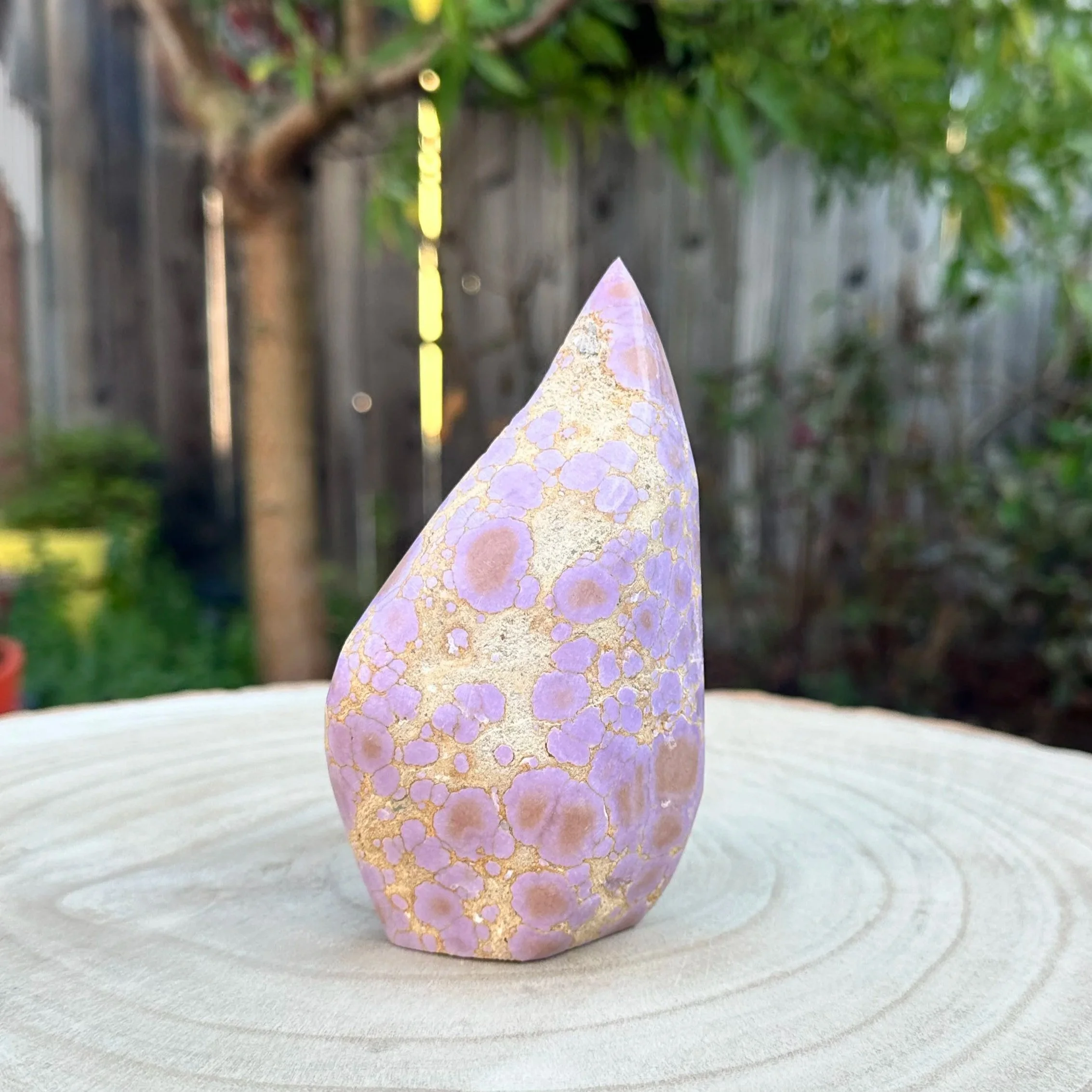 Material: Phosphosiderite  
Sold
 
Phosphosiderite is a rare mineral made up of iron and phosphorous. The pink in this piece actually glitters. I feel Phosphosiderite as a physical relaxation energy. The interplay of the matrix reminds me of a giraff