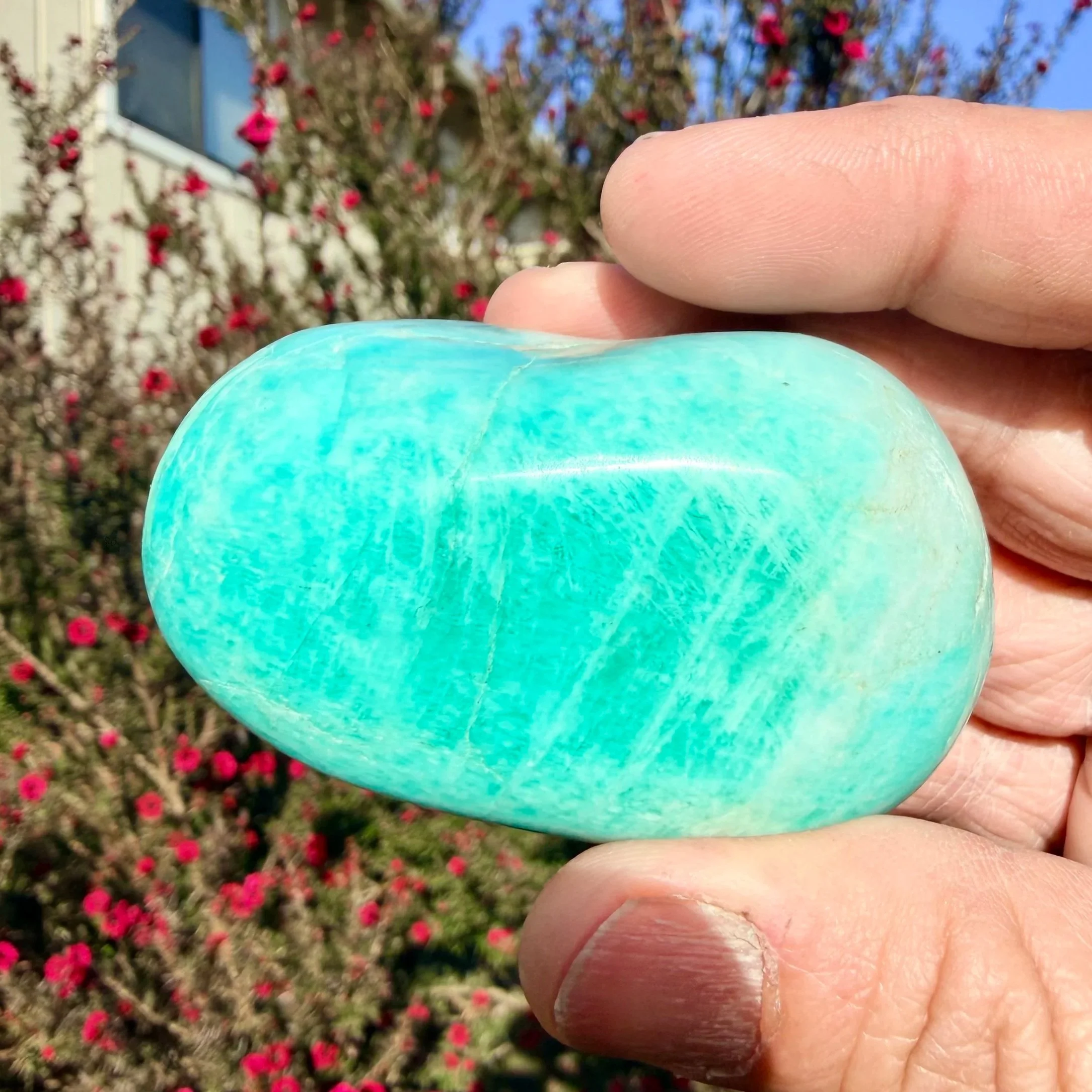 Amazonite Palm Stone