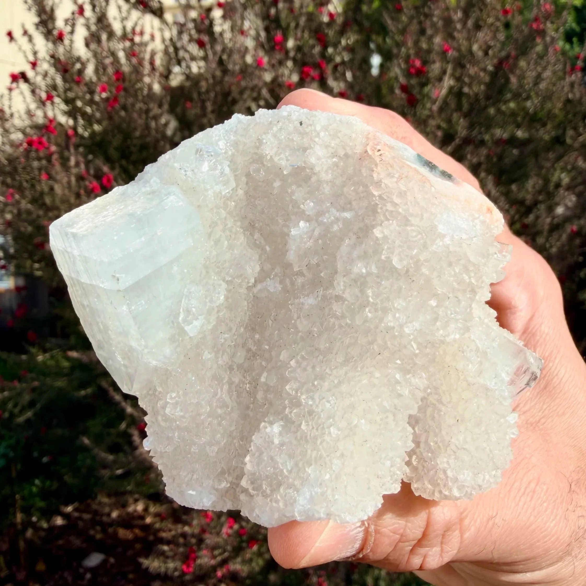Apophyllite with Chalcedony Specimen