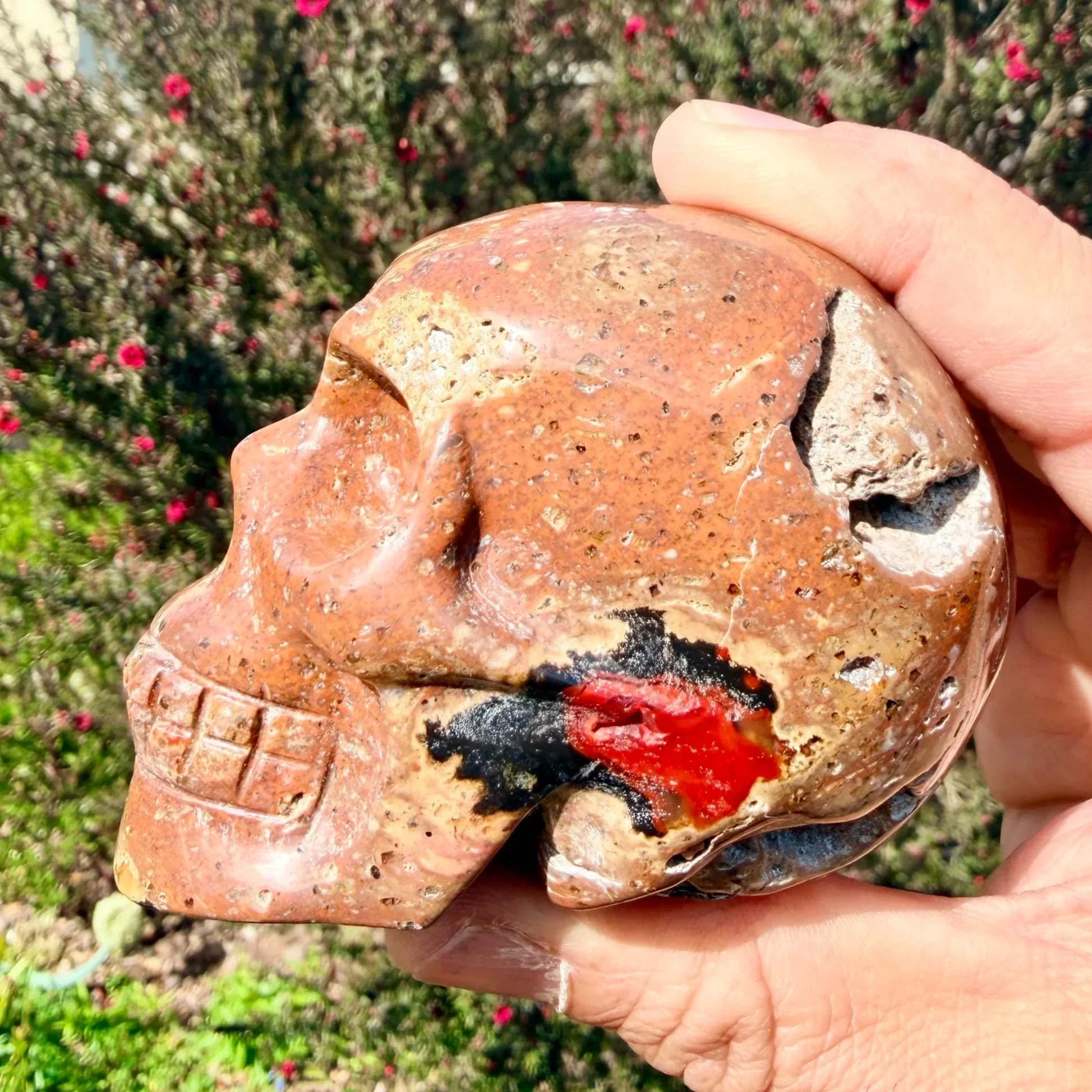 Red Fox Agate Skull
