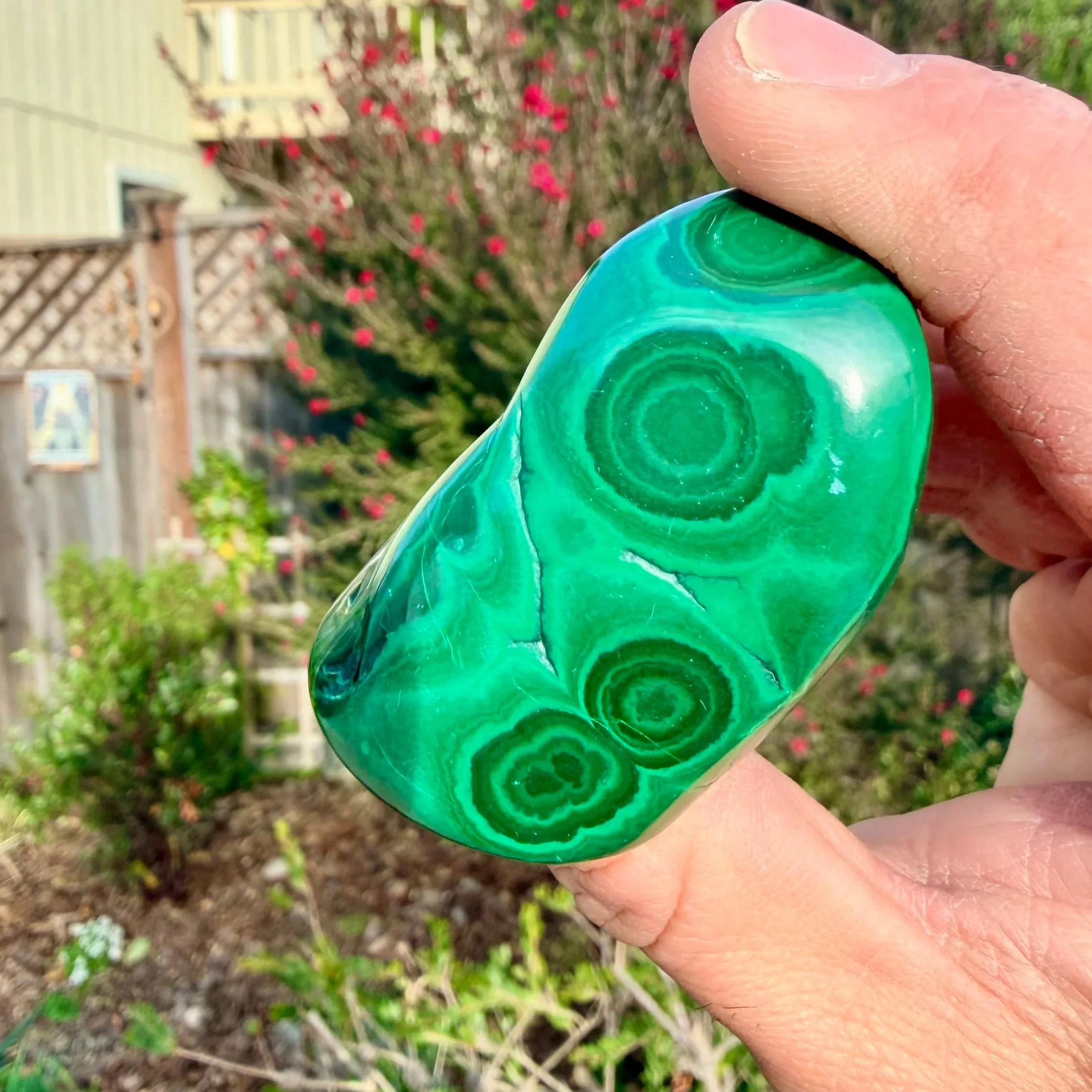 Malachite Freeform - Congo