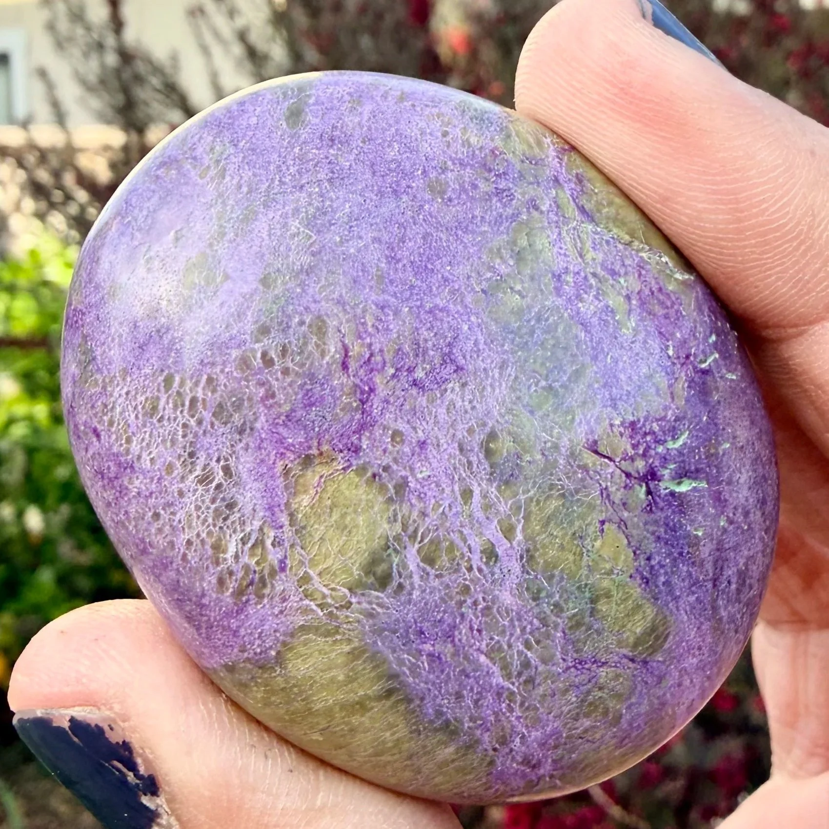 Stichtite and Serpentine (Atlantisite) Palm Stone