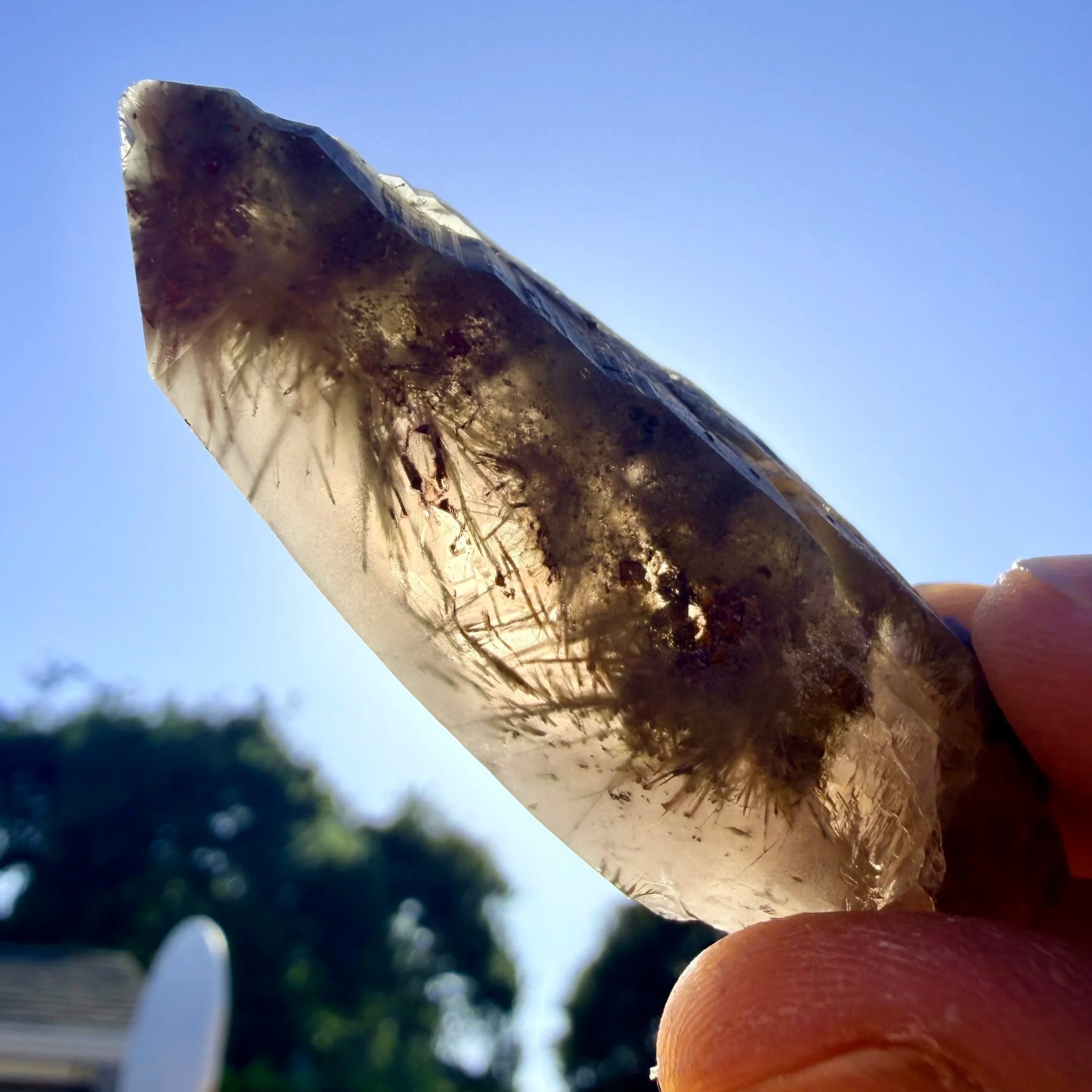Smoky Quartz Point with Rutile and Blue Amphibole (Rieckbeckite)