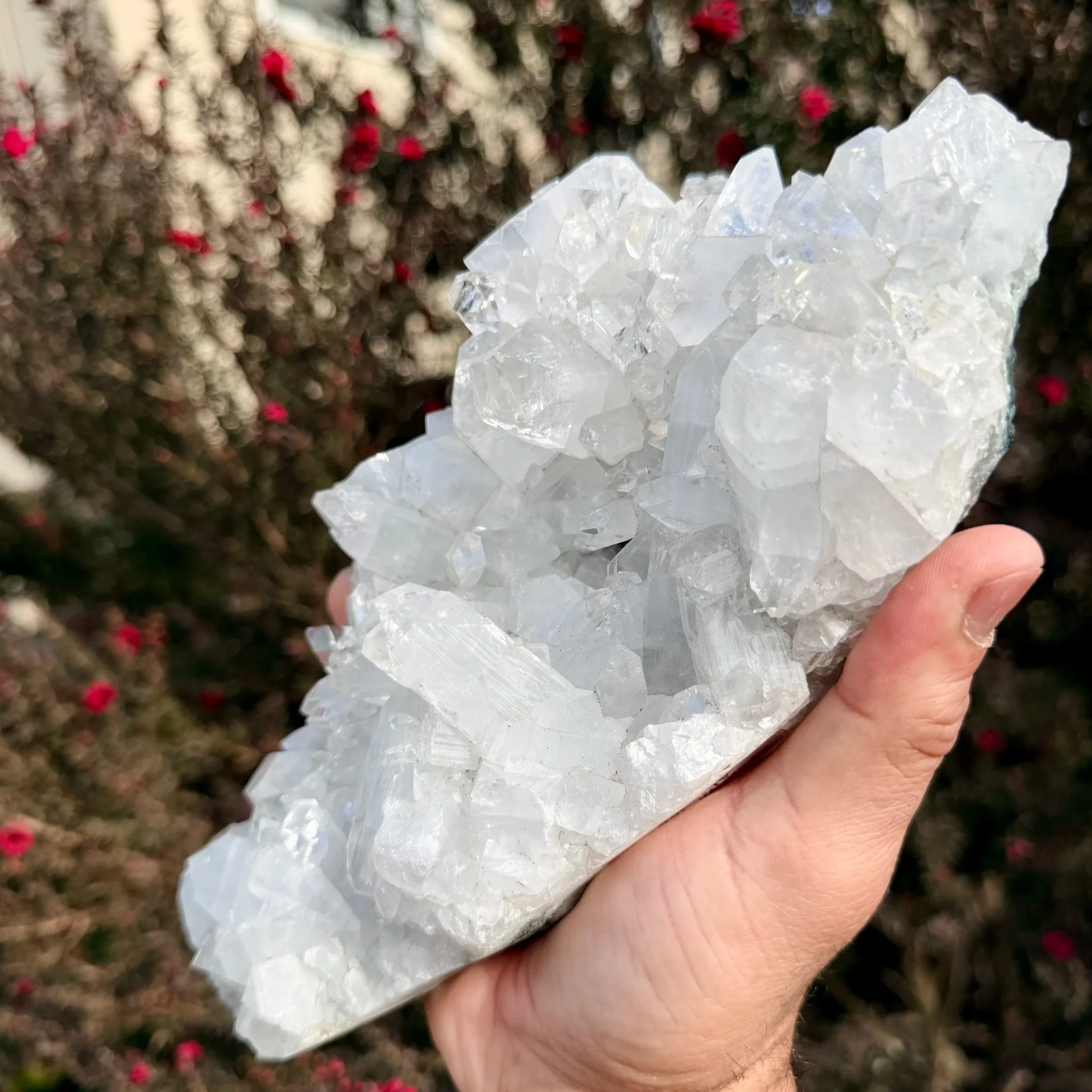 Diamond Apophyllite Specimen