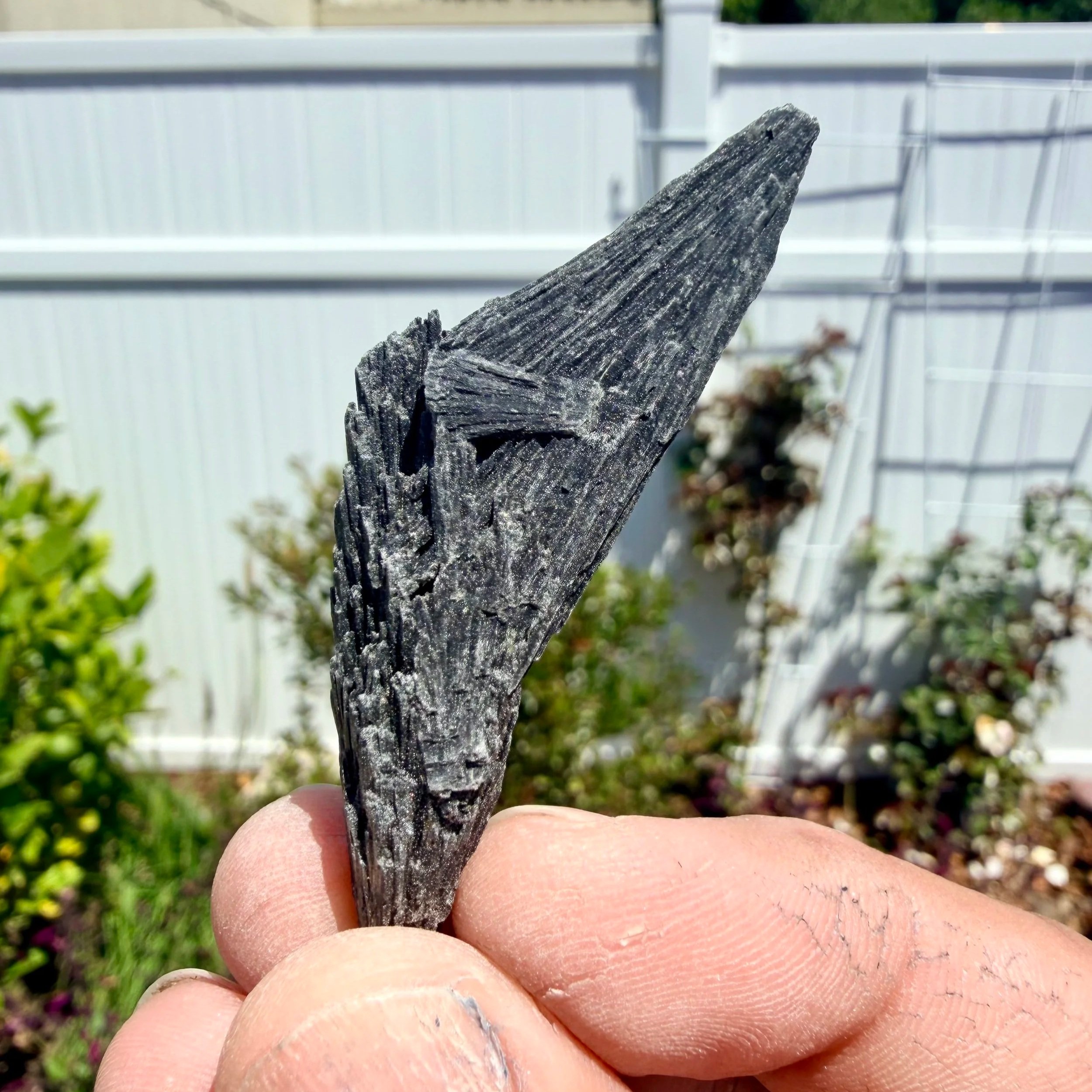 Black Kyanite