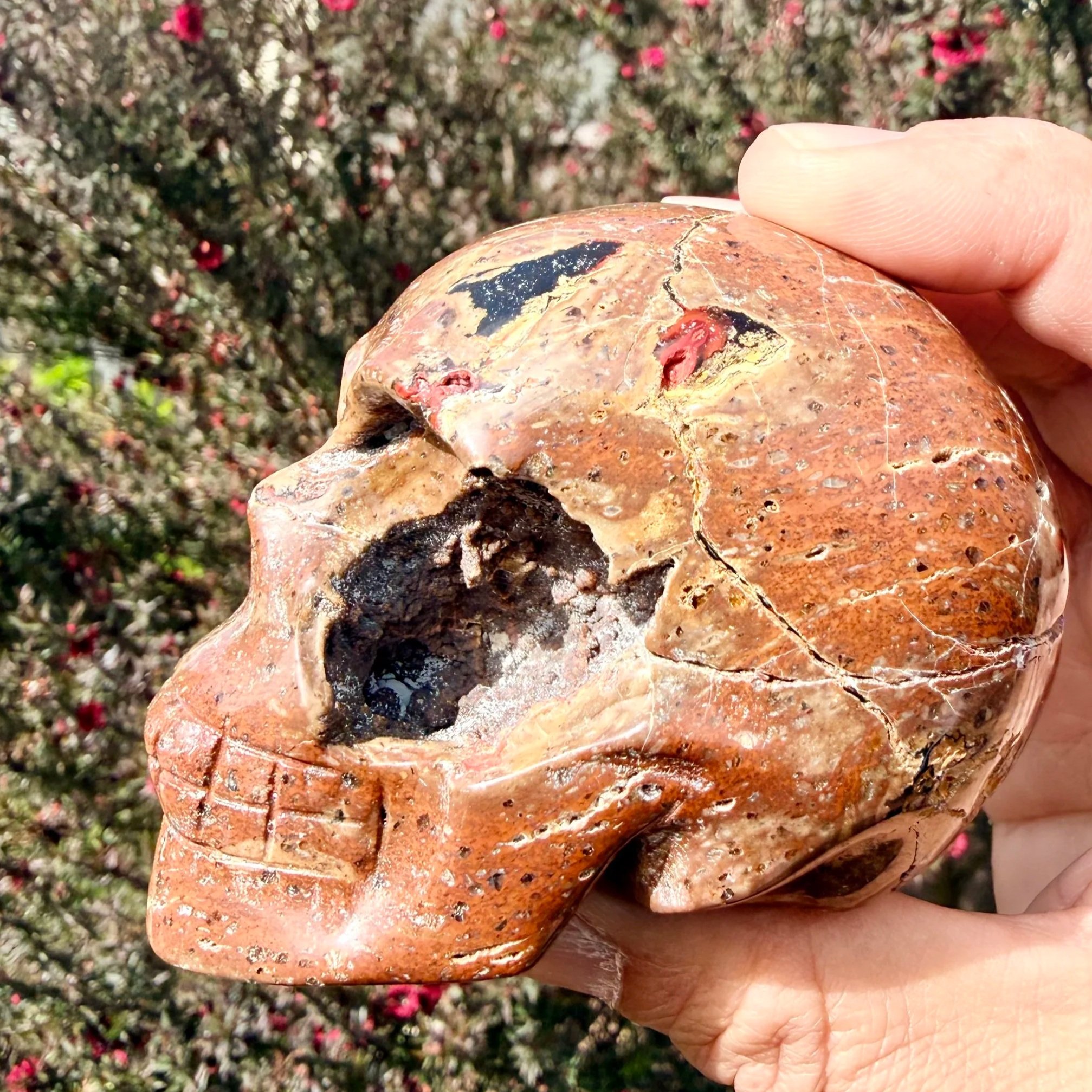 Red Fox Agate Skull