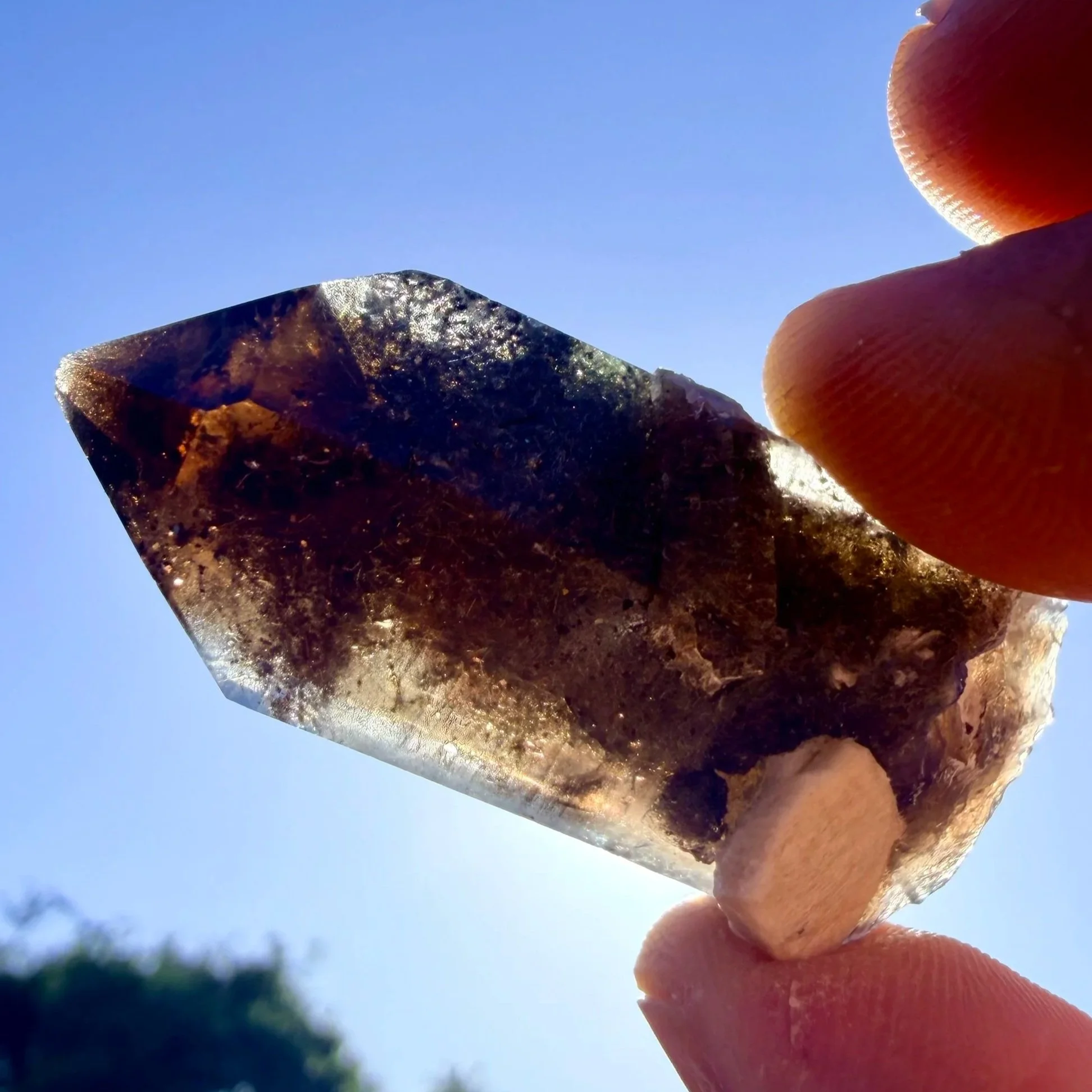 Smoky Quartz Point with Blue Amphibole (Rieckbeckite)