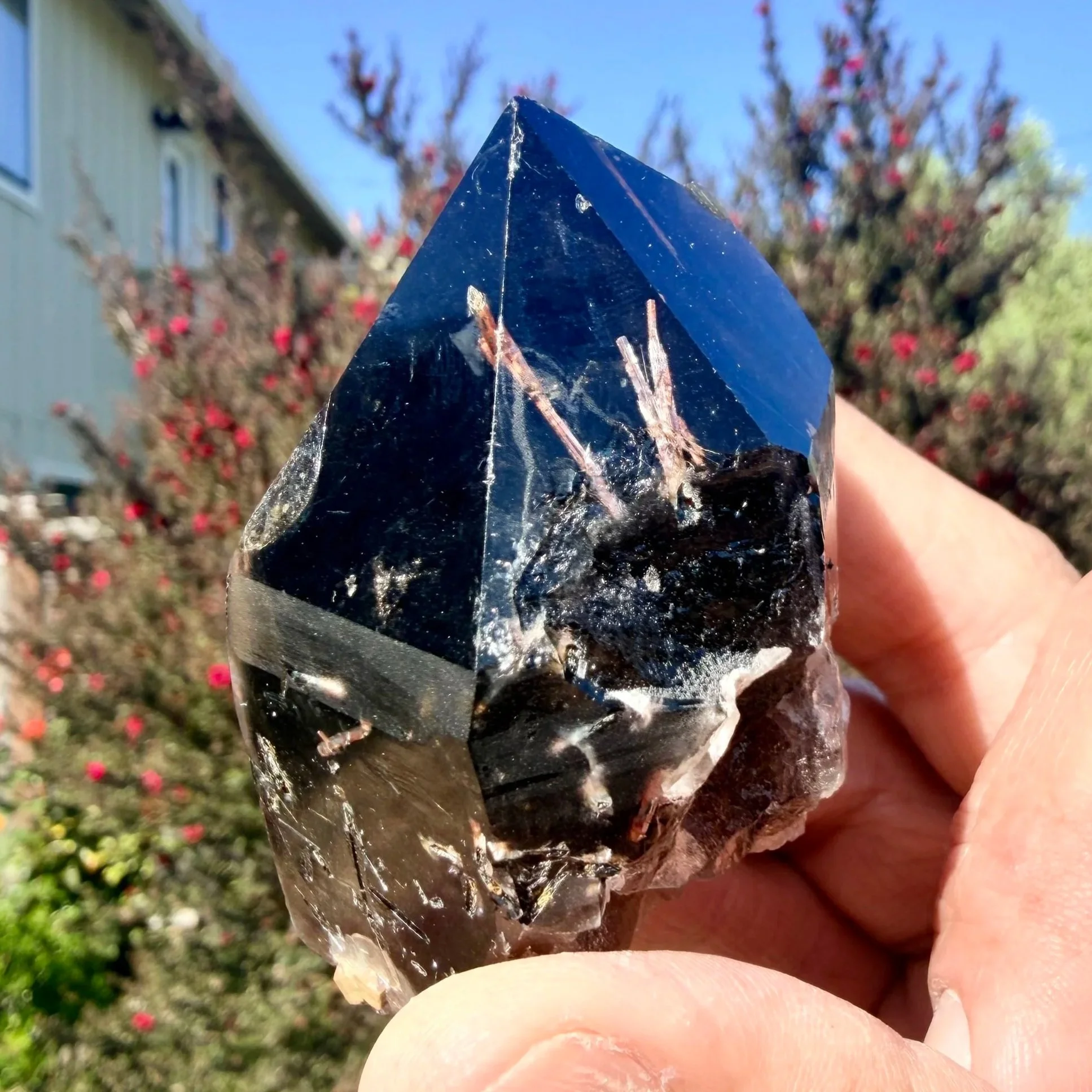Morion (Black Smoky) Quartz Point with Rutile and Aegerine