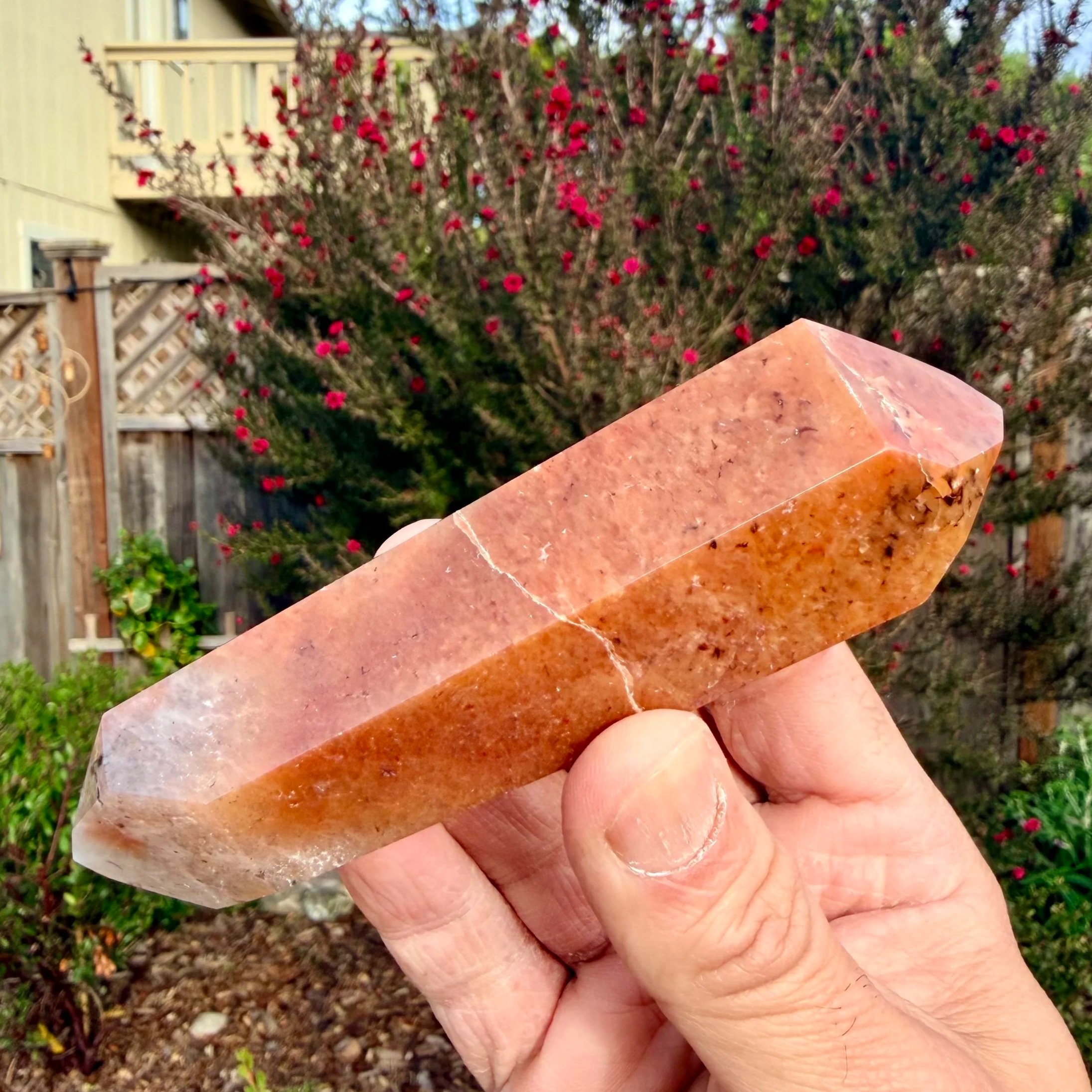 Mosaic Chalcedony Double Point