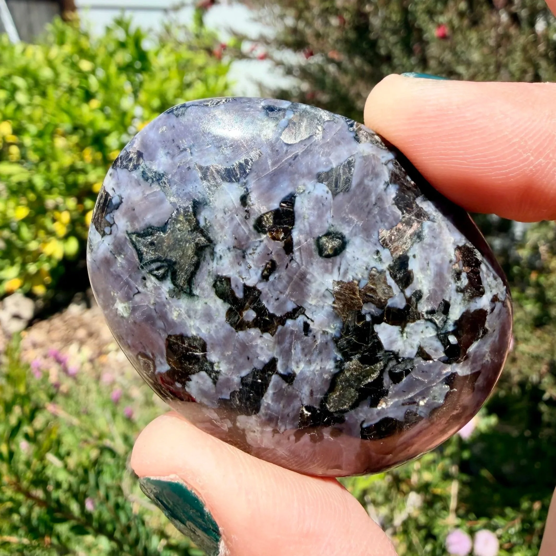 Indigo Gabbro Soapstones