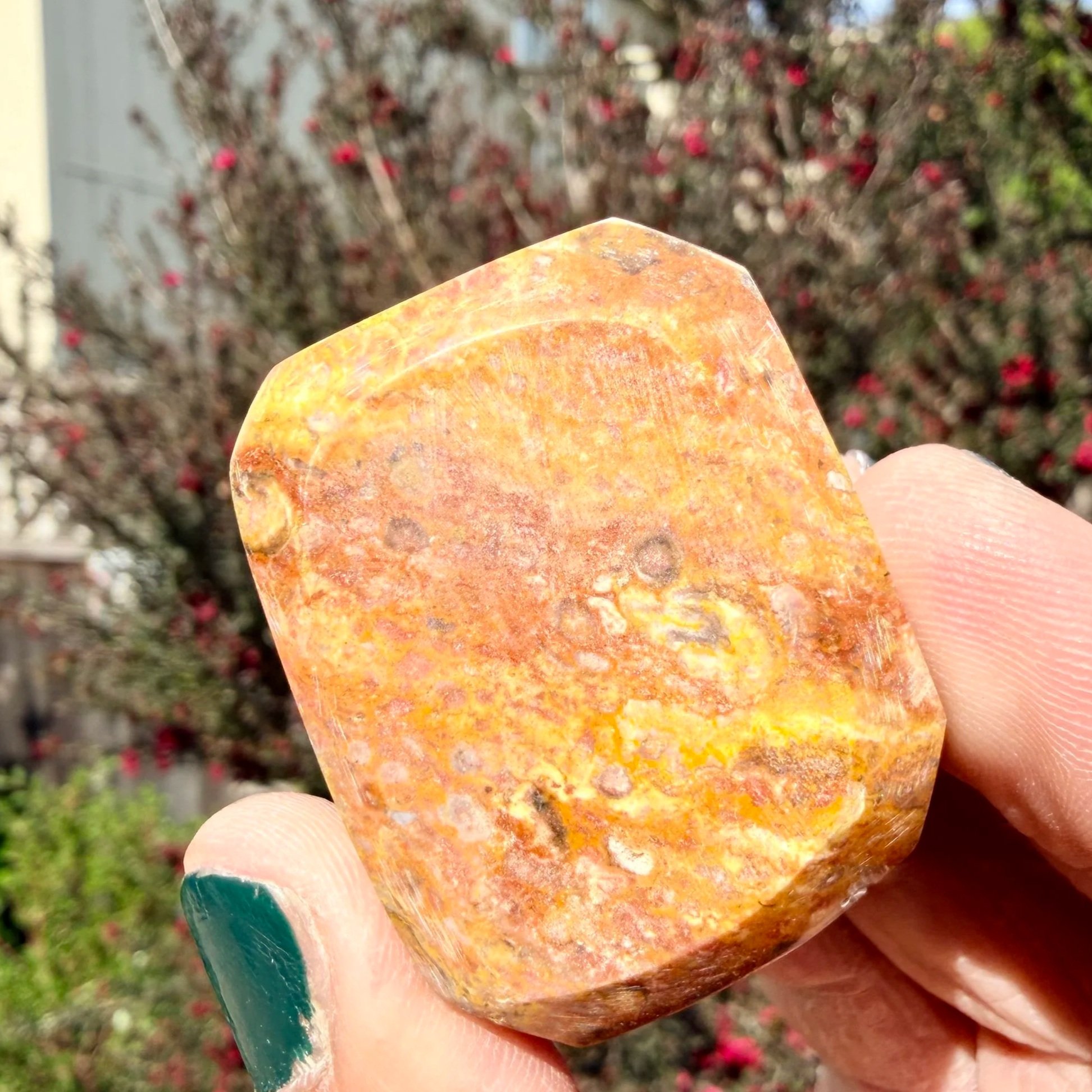 Bumblebee Jasper Hand Polished Stones