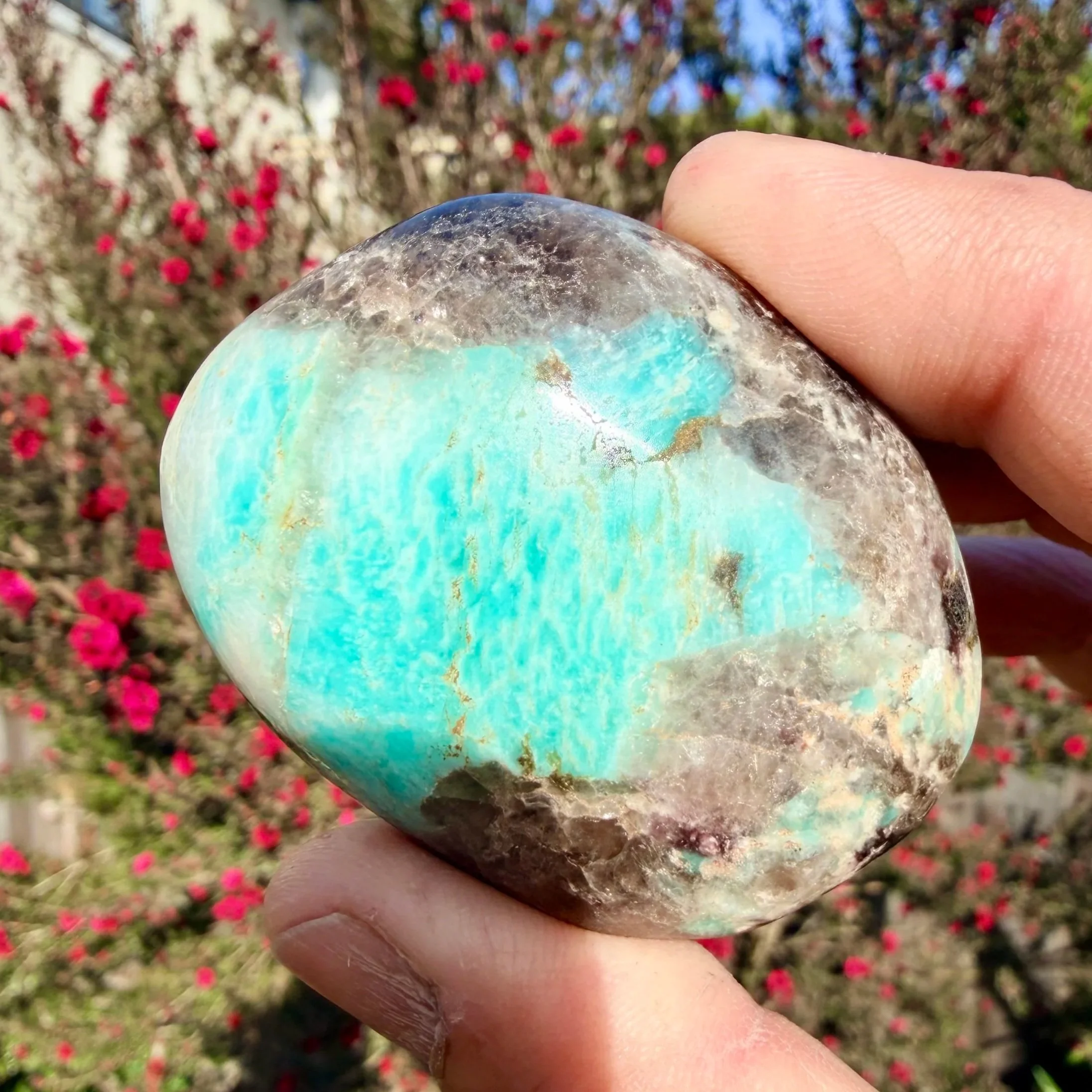 Amazonite with Smoky Quartz and Lepidolite Mica Palm Stone