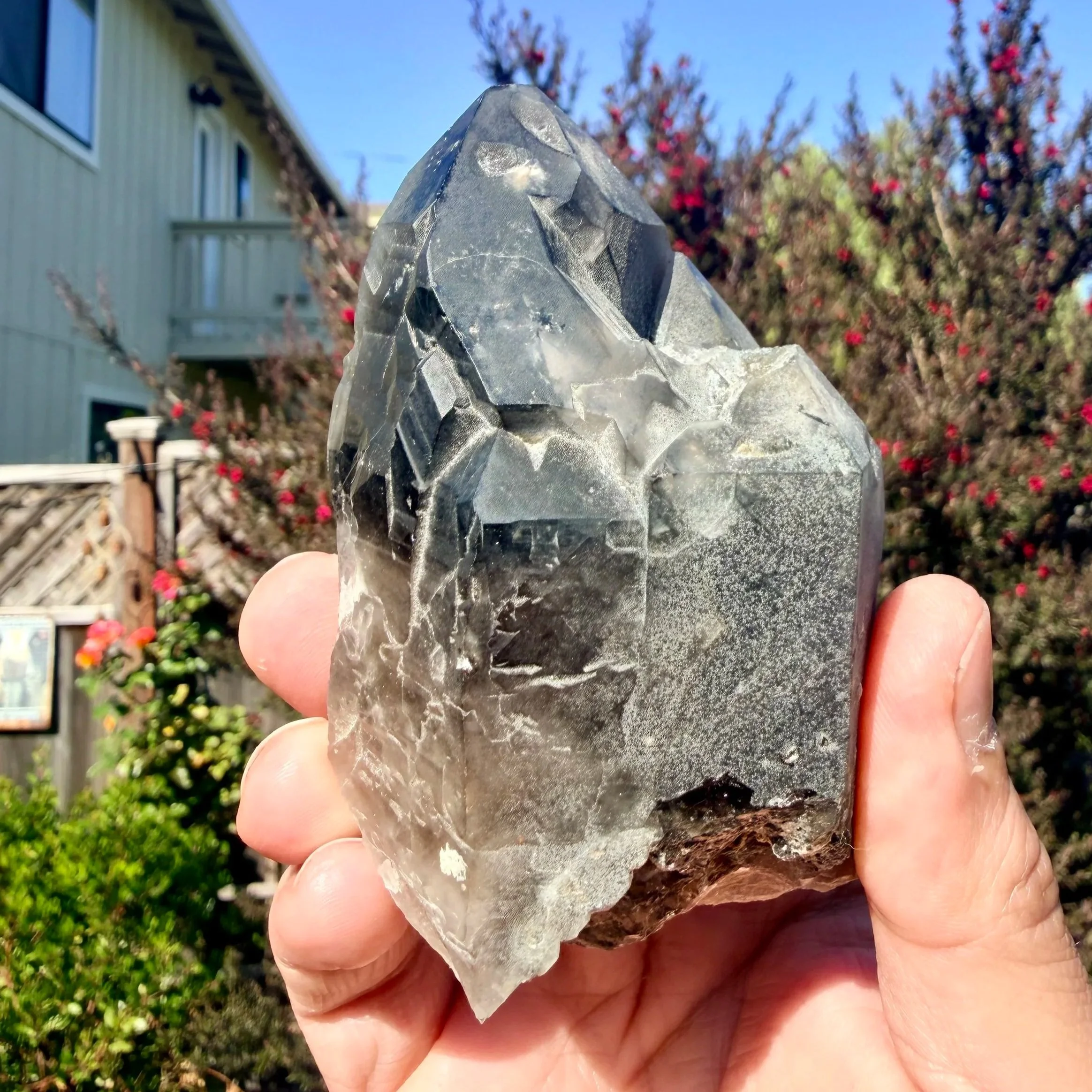 Morion (Black Smoky) Quartz Point