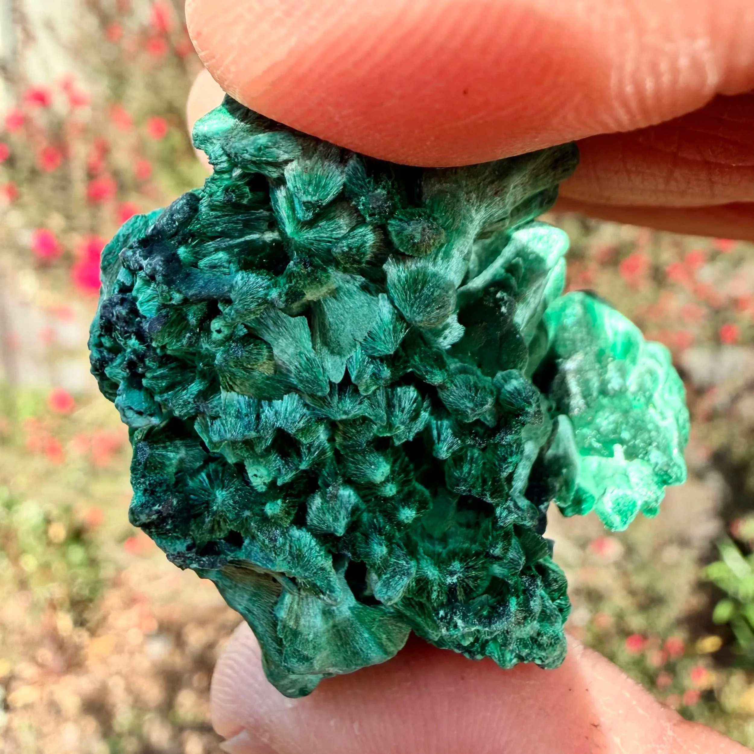 Malachite Velvet Specimen