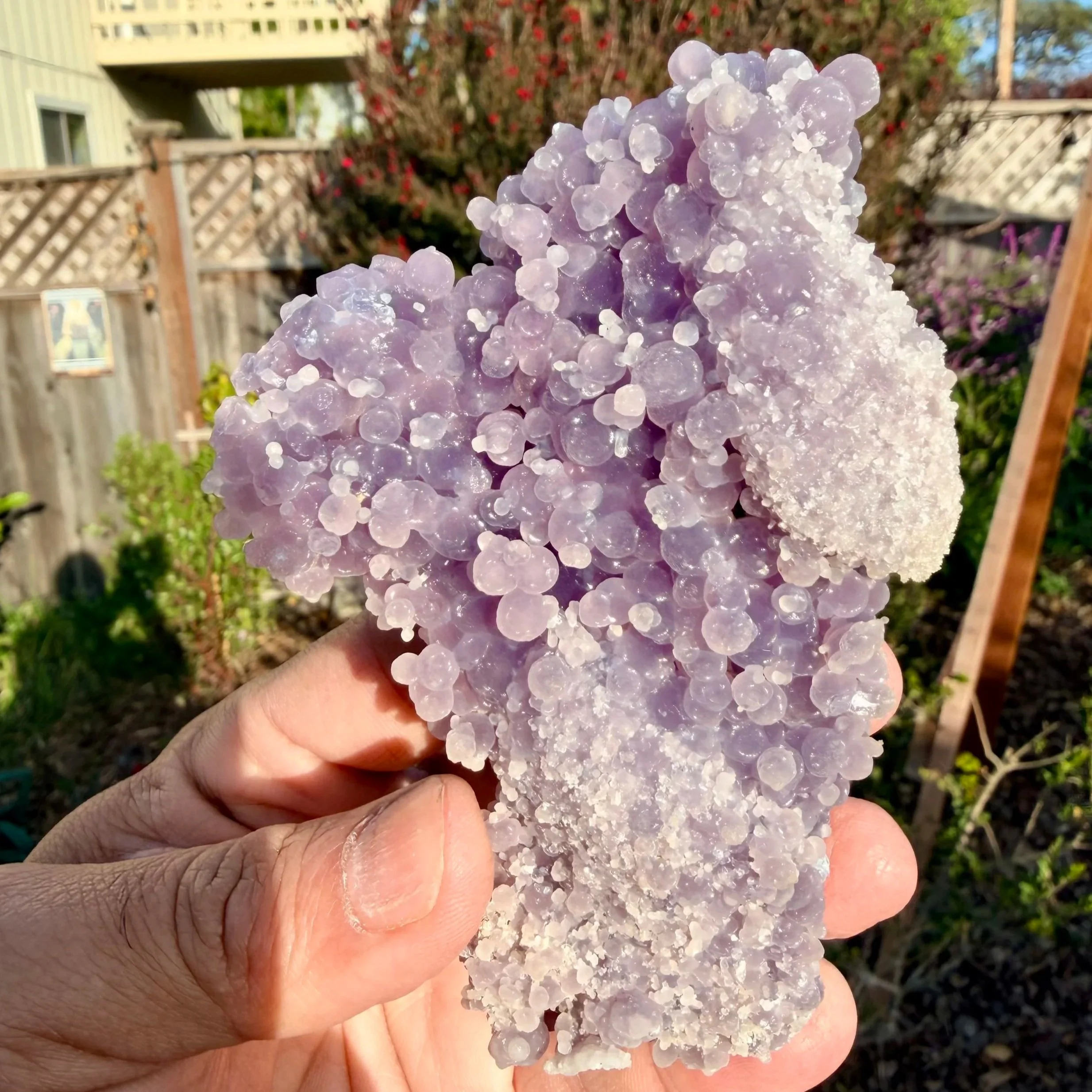 Grape Agate Cluster