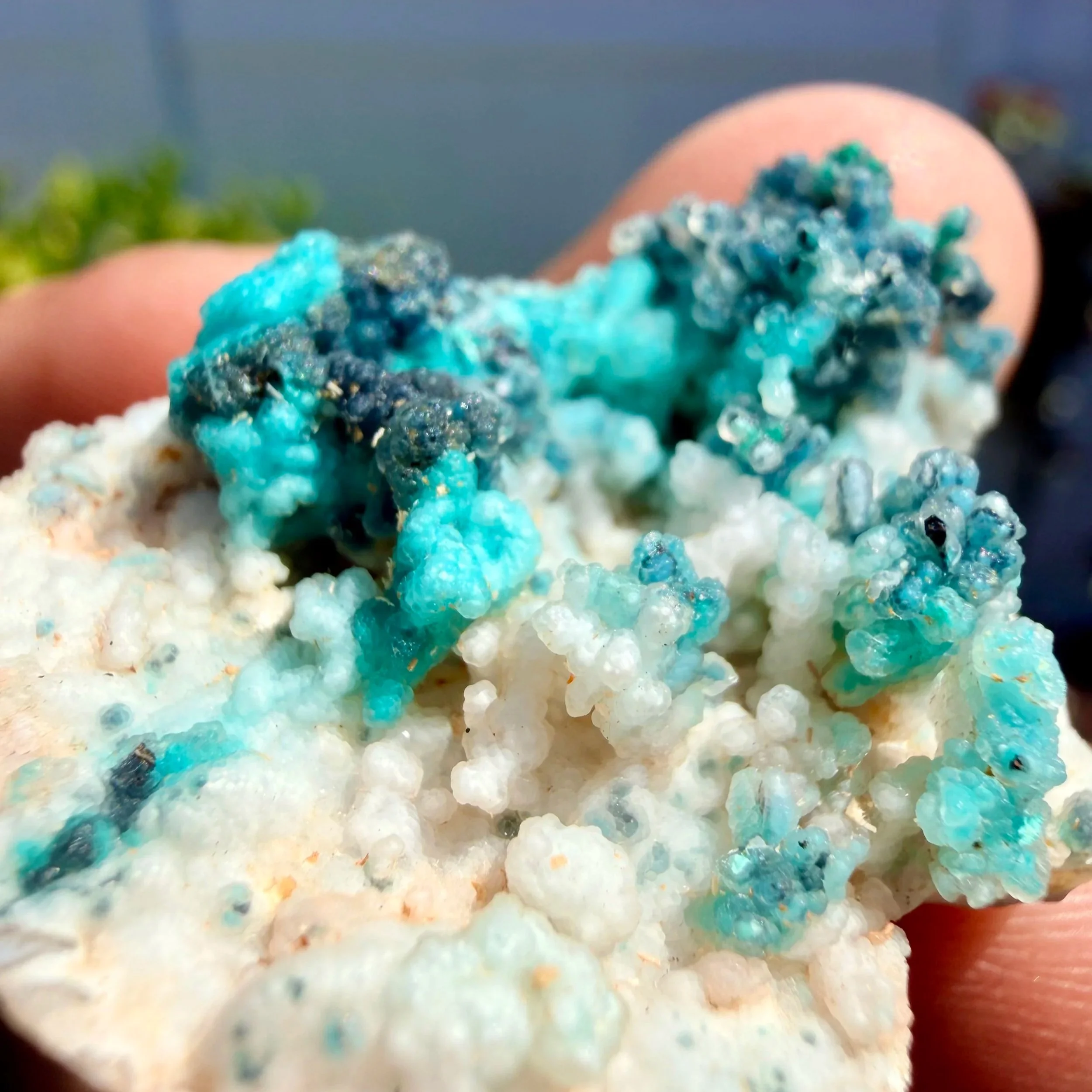 Chrysocolla in Chalcedony