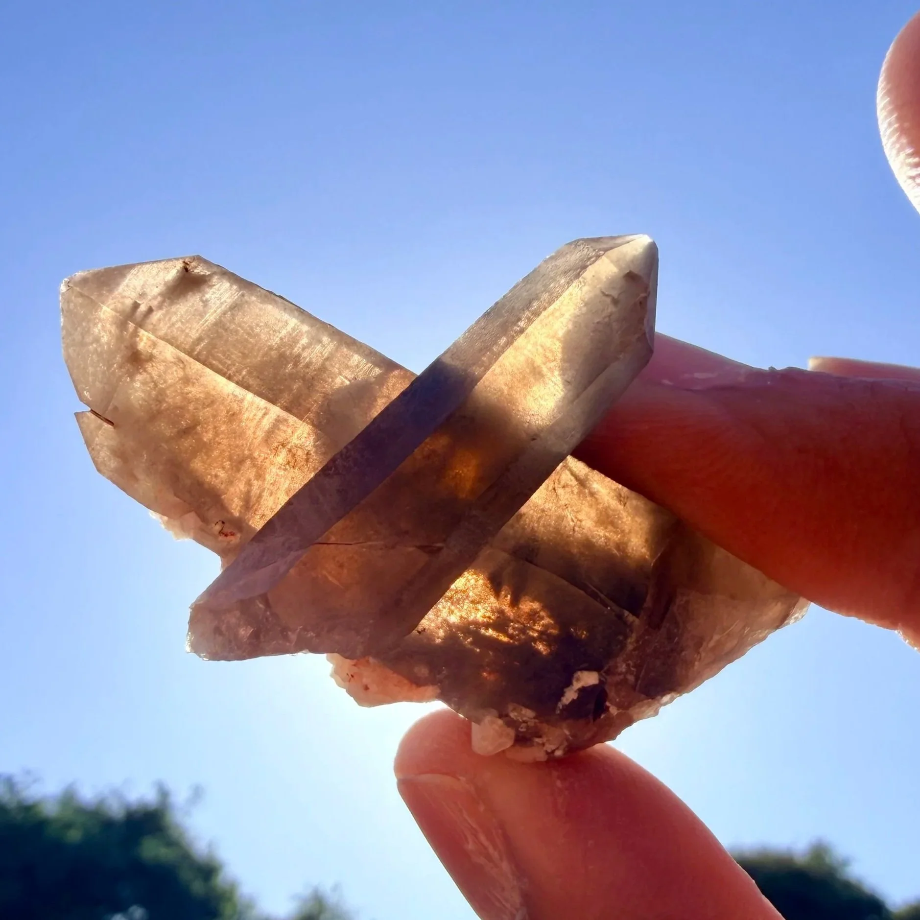 Smoky Quartz Point with Blue Amphibole (Rieckbeckite)