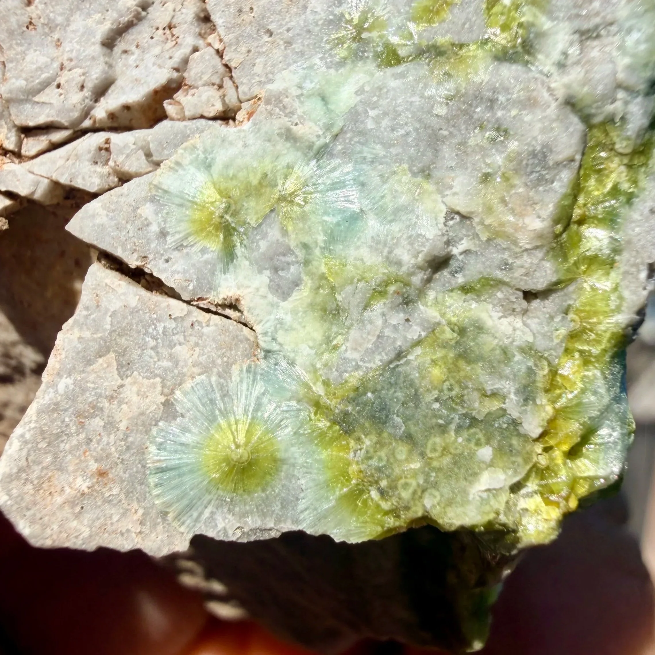 Wavellite (Arkansas)