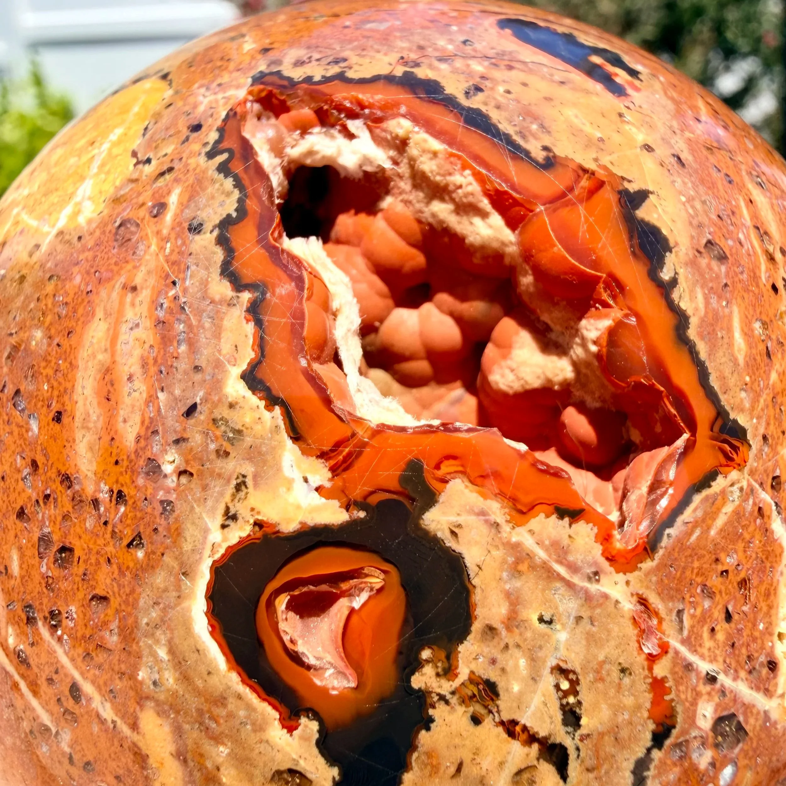 IMG_9533.jpg