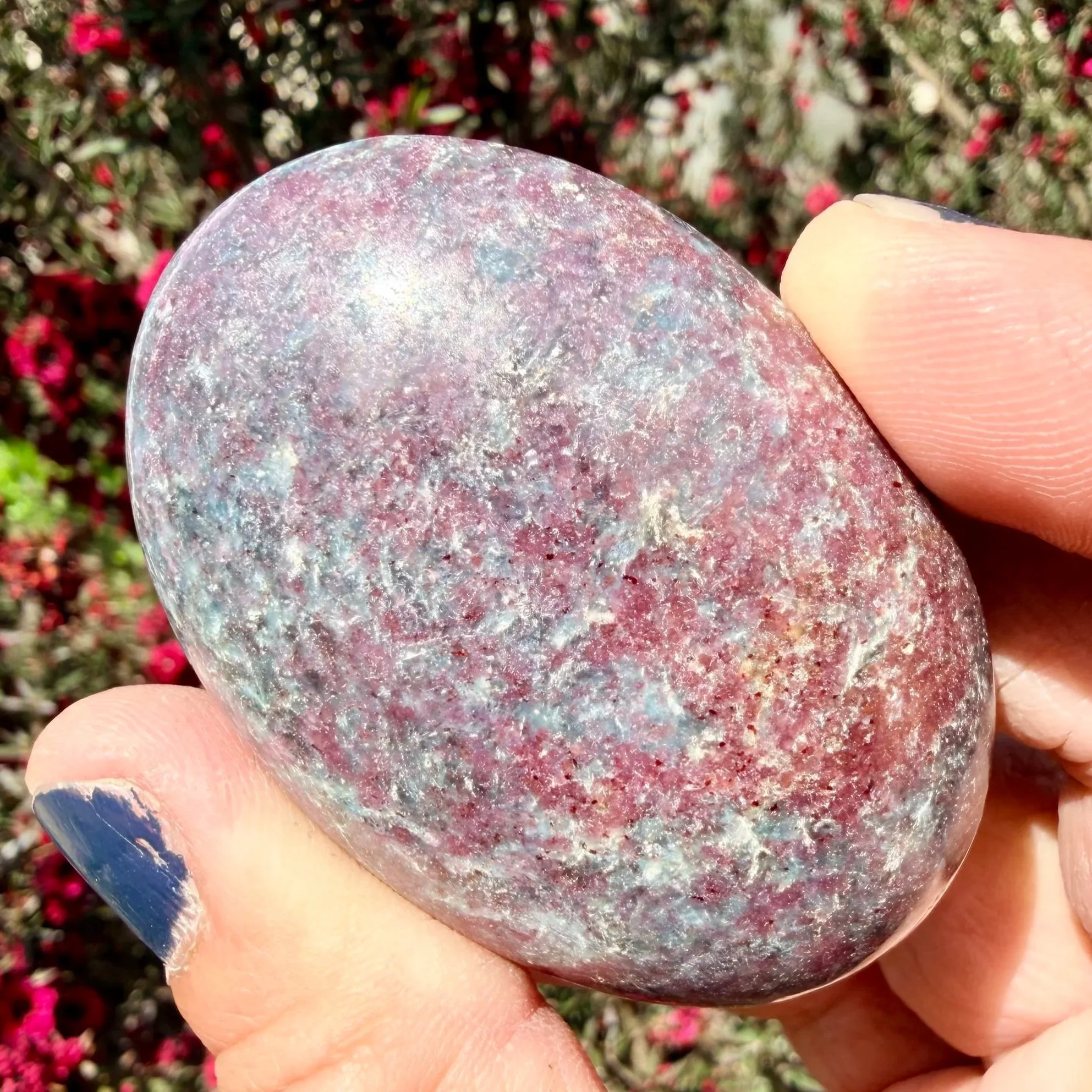 Ruby In Kyanite Palm Stone